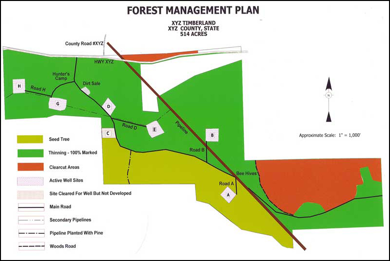 Timber Management Ray Lott & Associates, Inc.