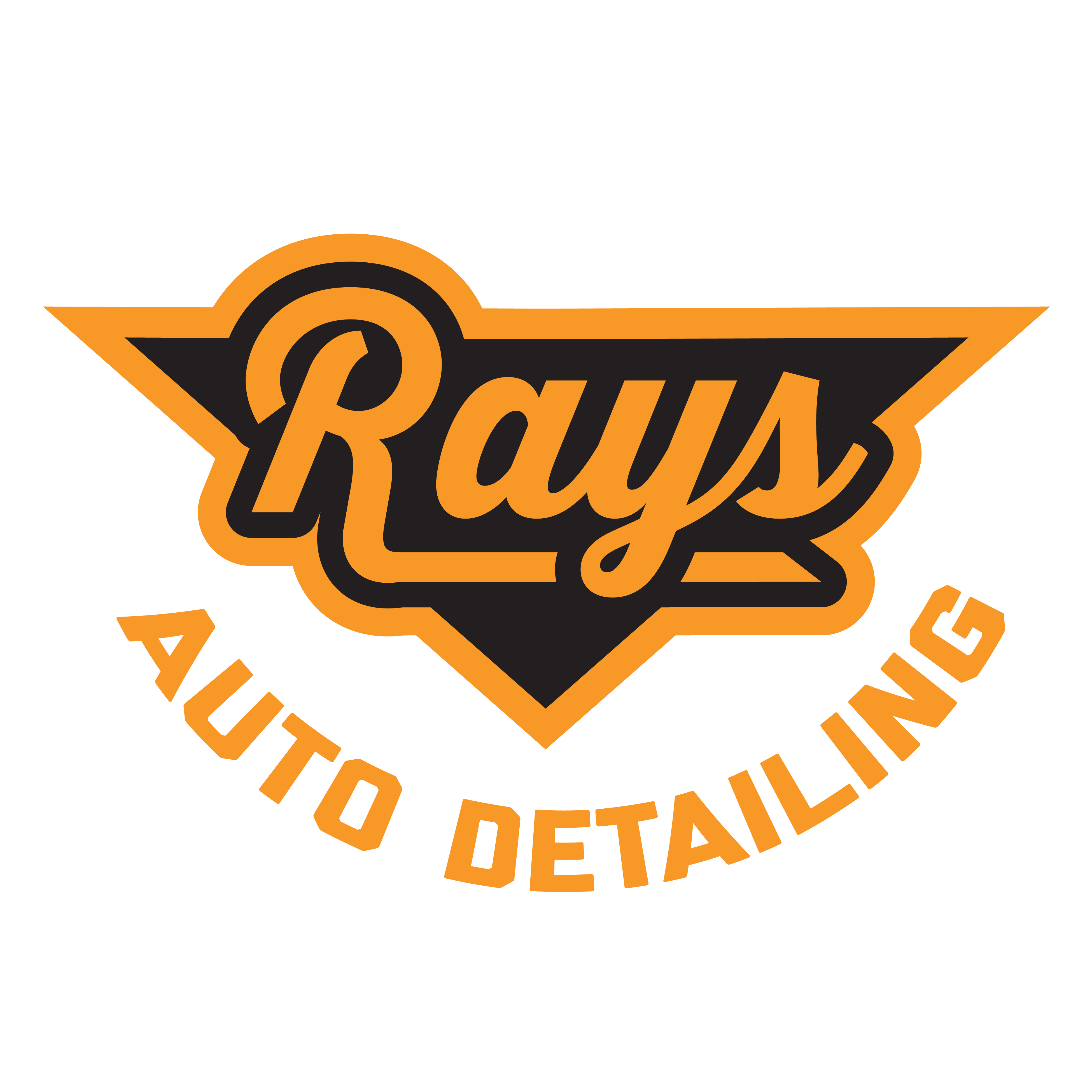 Rays Auto Detailing Performance Detailing