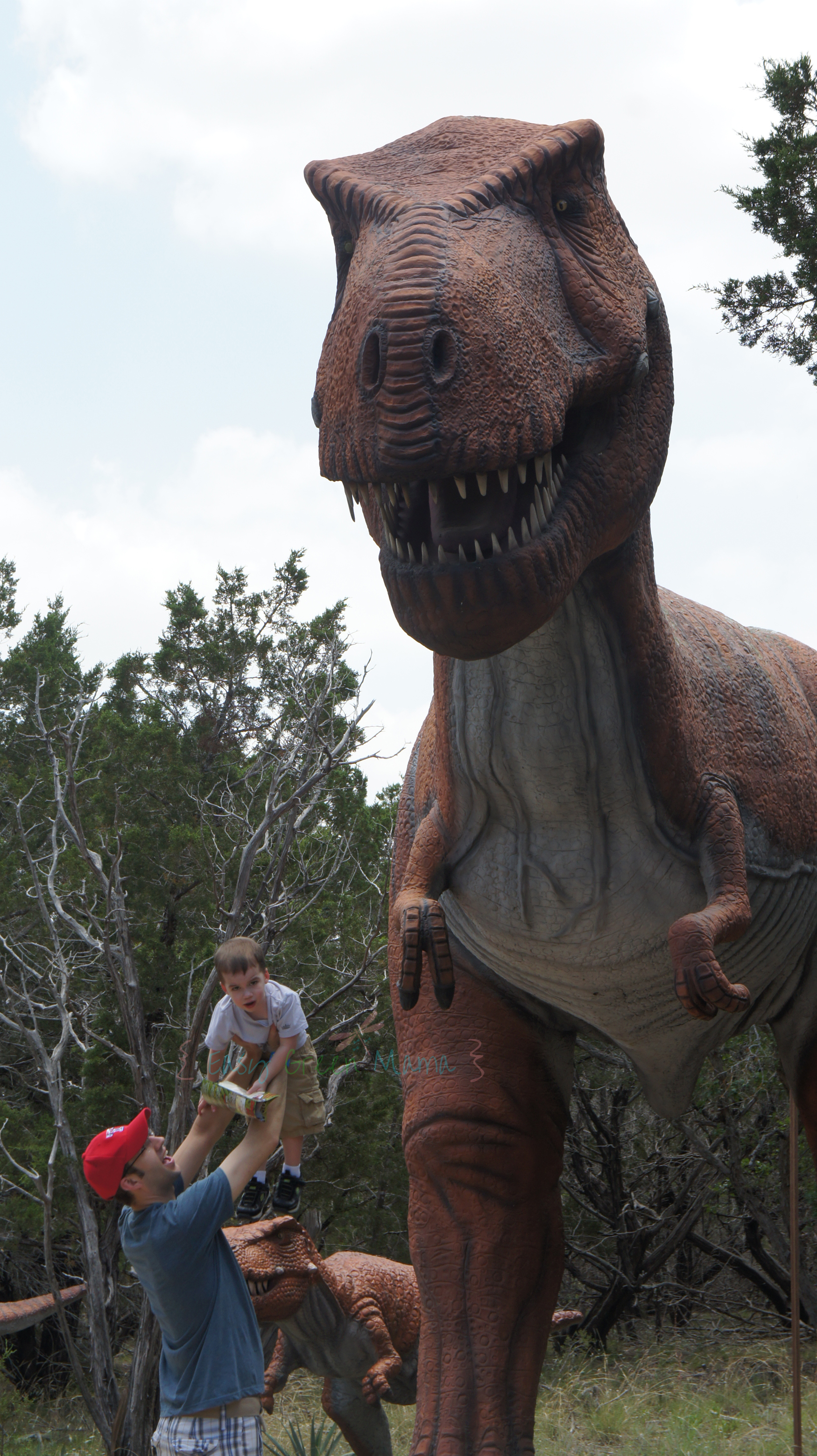 Wordless Wednesday Glen Rose, TX Dinosaur World Trip Rays of Bliss