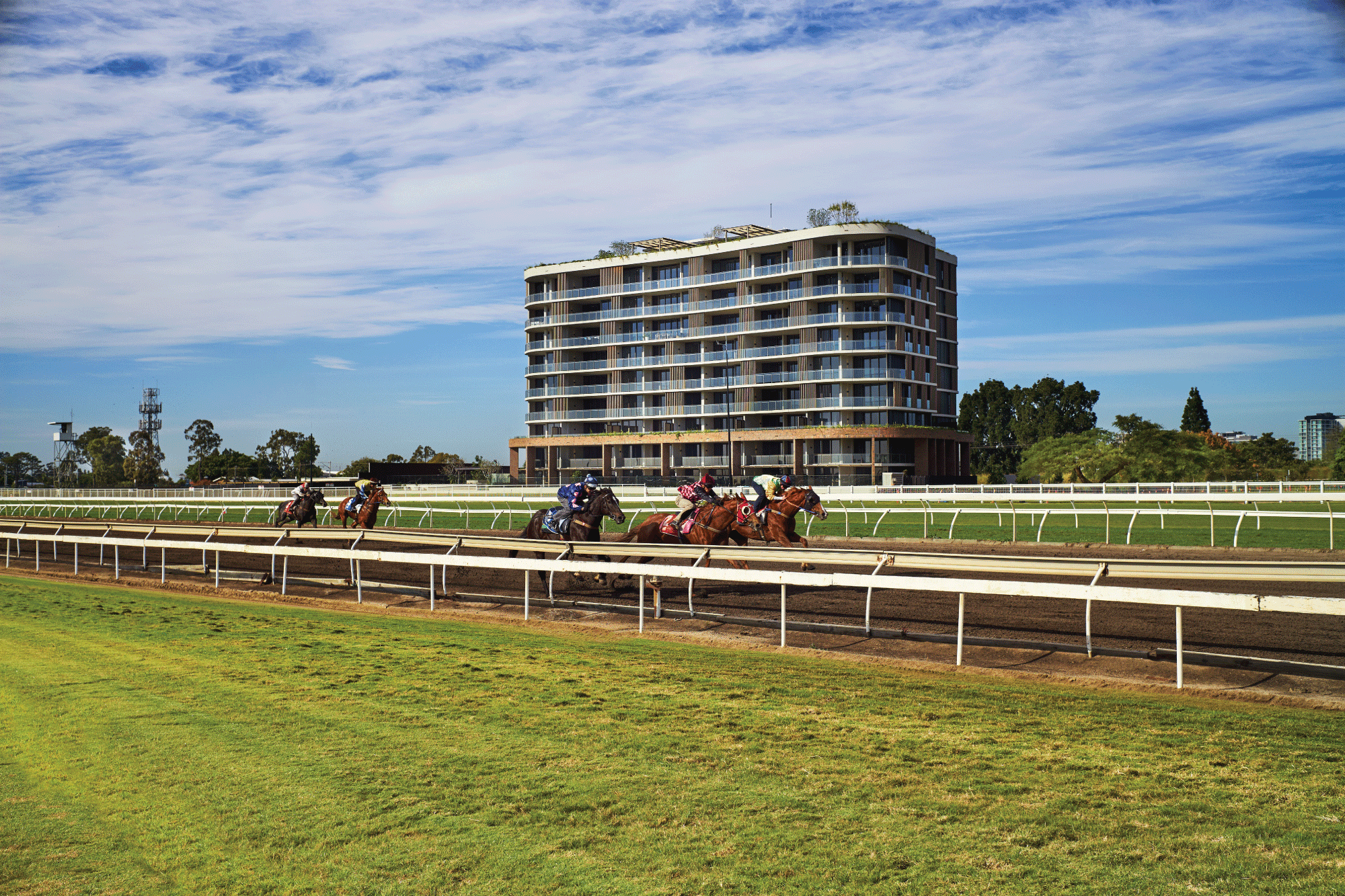 Ascot Green Ray White Hong Kong