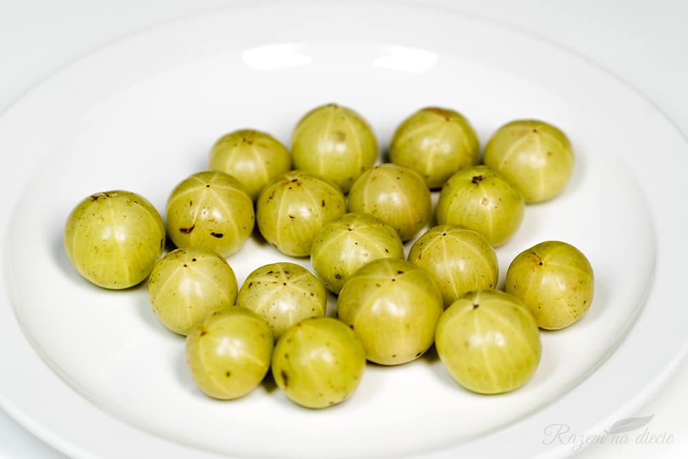 Amla kiedy nie ma szansy na wyleczenie astmy Dieta dr Dąbrowskiej