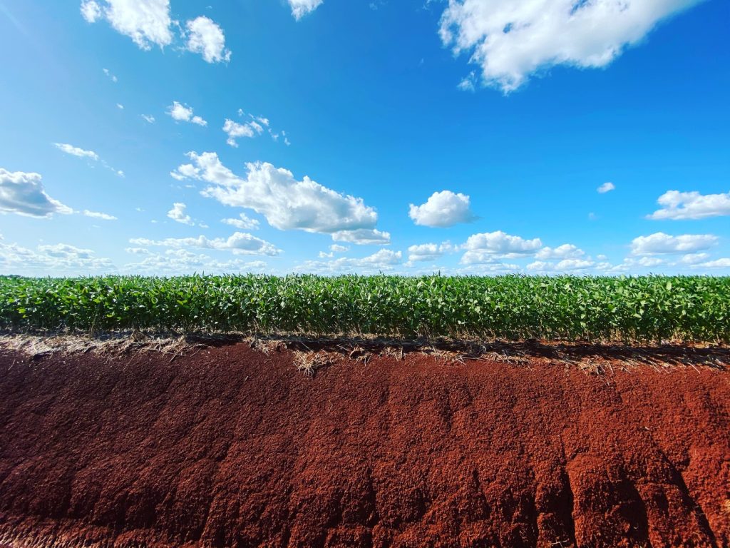 Effect of 26years of soil tillage systems and winter cover crops on C