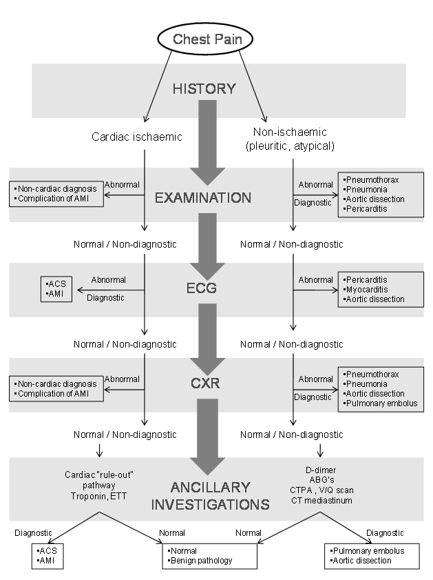 Chest Pain Syndromes RCEMLearning