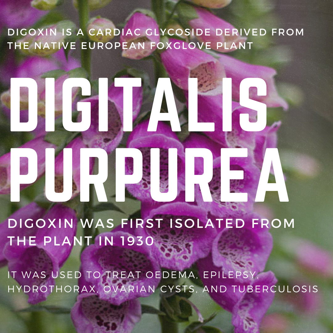 Digoxin Toxicity RCEMLearning India