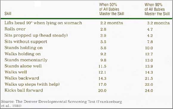 >The First Two Years Infants & Toddlers Motor Skills