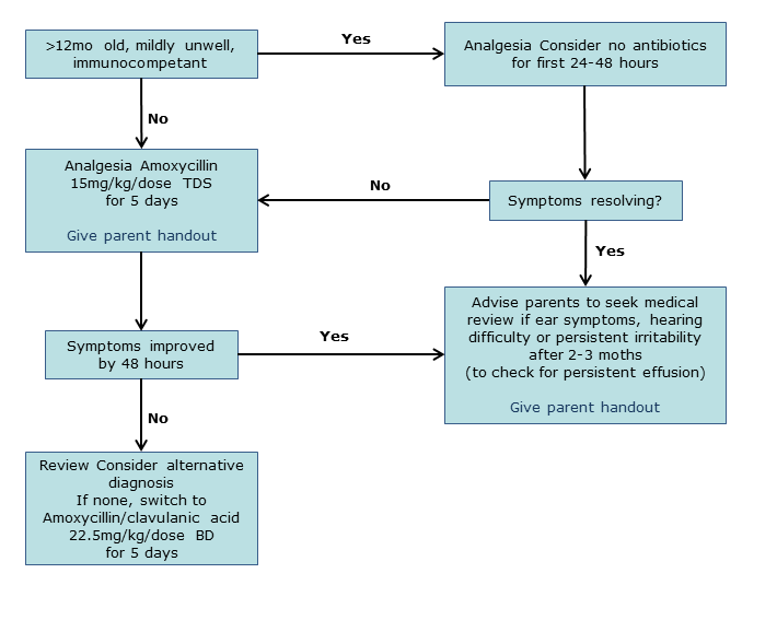 Acute Pain Acute Pain Clinical Practice Guideline
