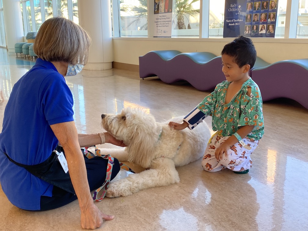 Canine Therapy Program Rady Children's Hospital