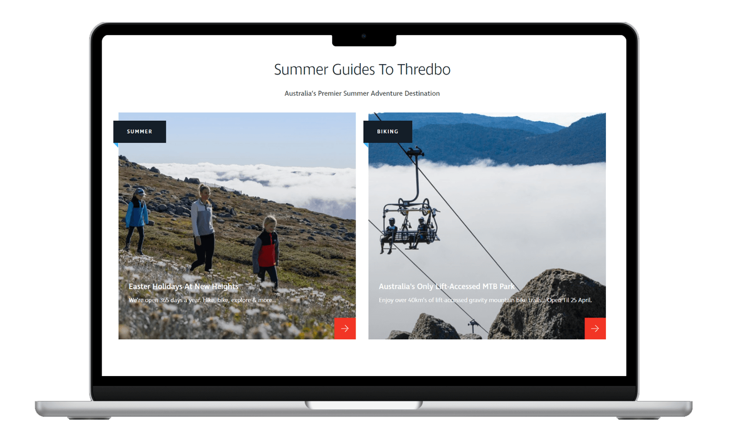 Thredbo Rock Solid Digital