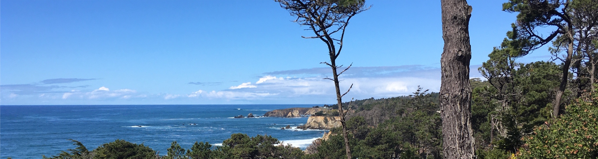 Conservation easements Redwood Coast Land Conservancy