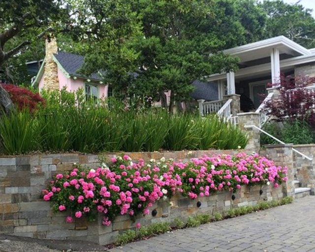 12 Ways to Add Color to Your Outdoor Space Reader's Digest