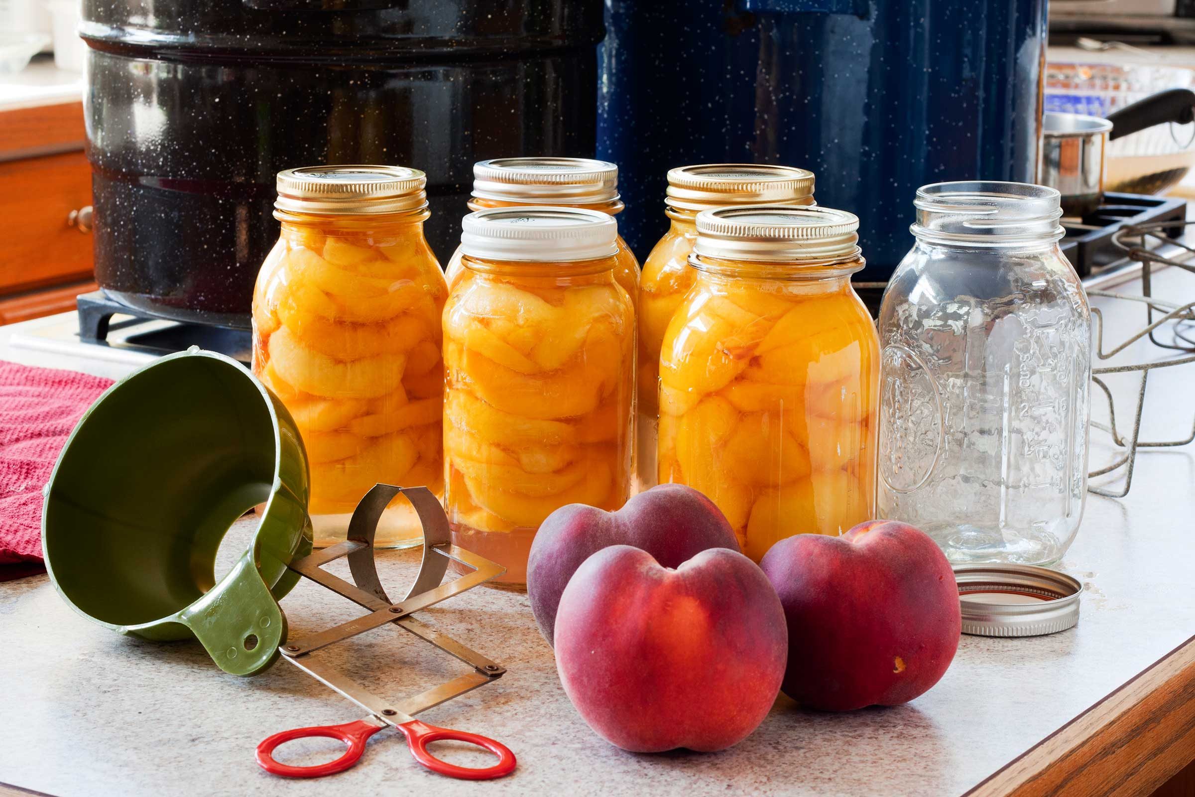 How To Dry And Preserve Fruits at Carolyn Shay blog