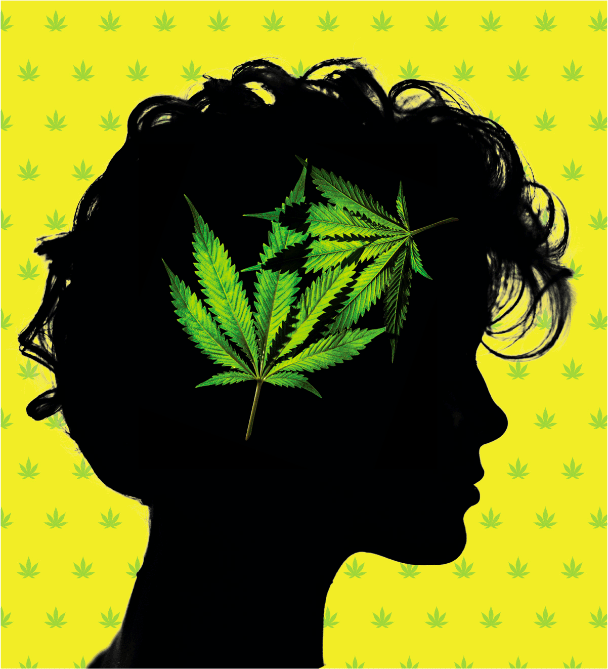 The Truth About the Effect Marijuana Has on Teens Reader