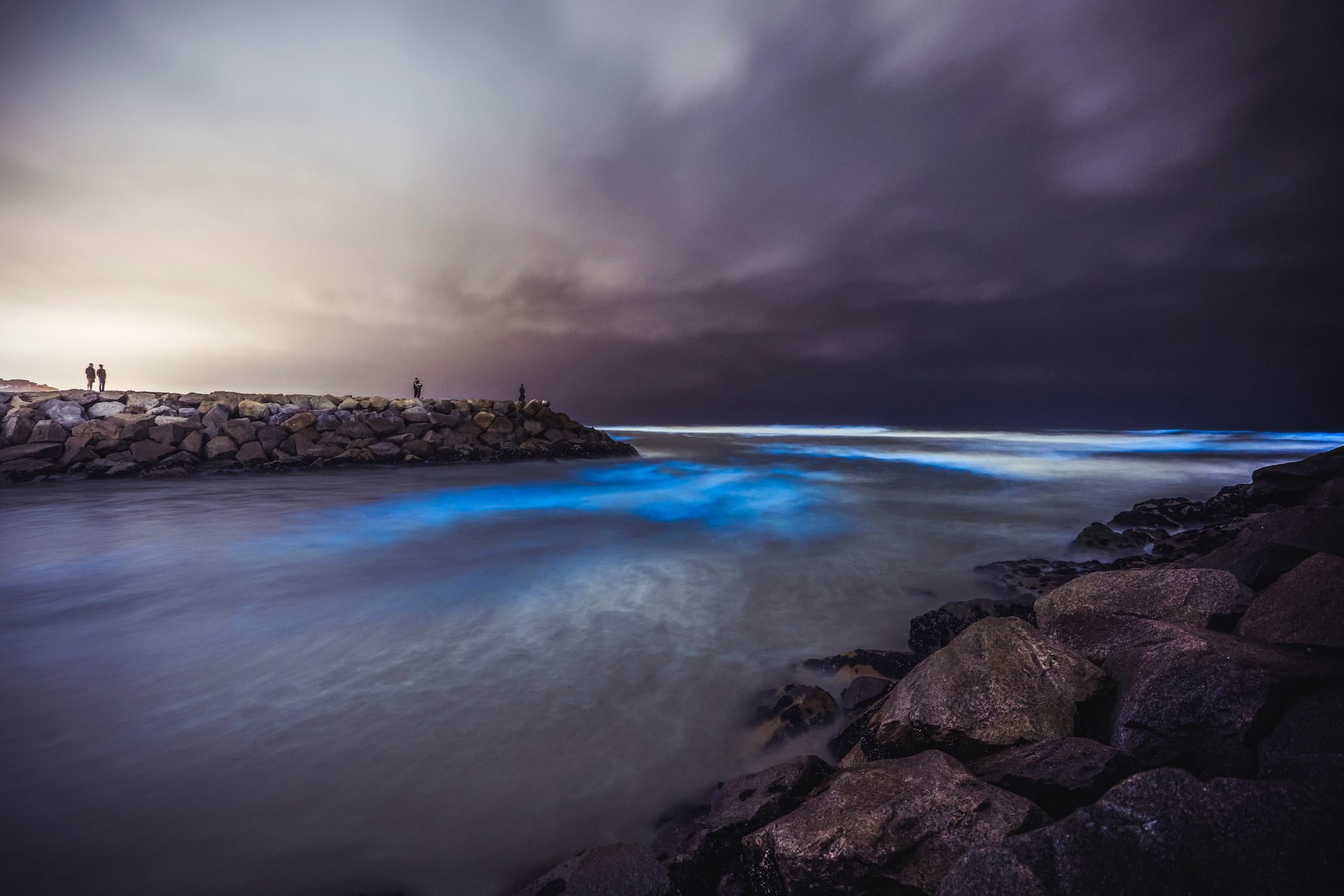 Beautiful Photos of Beaches That Naturally Glow Reader's Digest