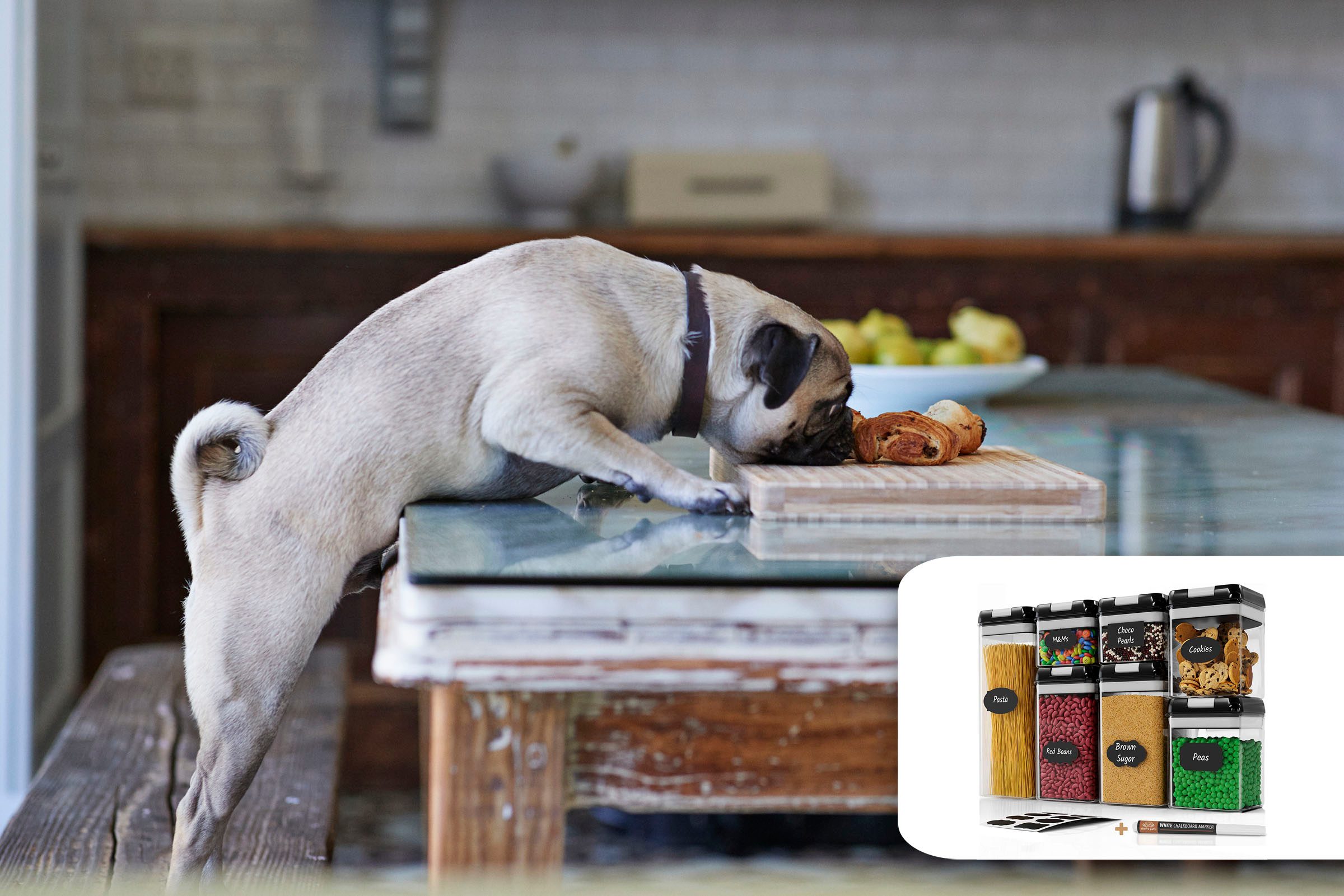 Dog Licked Oven Cleaner