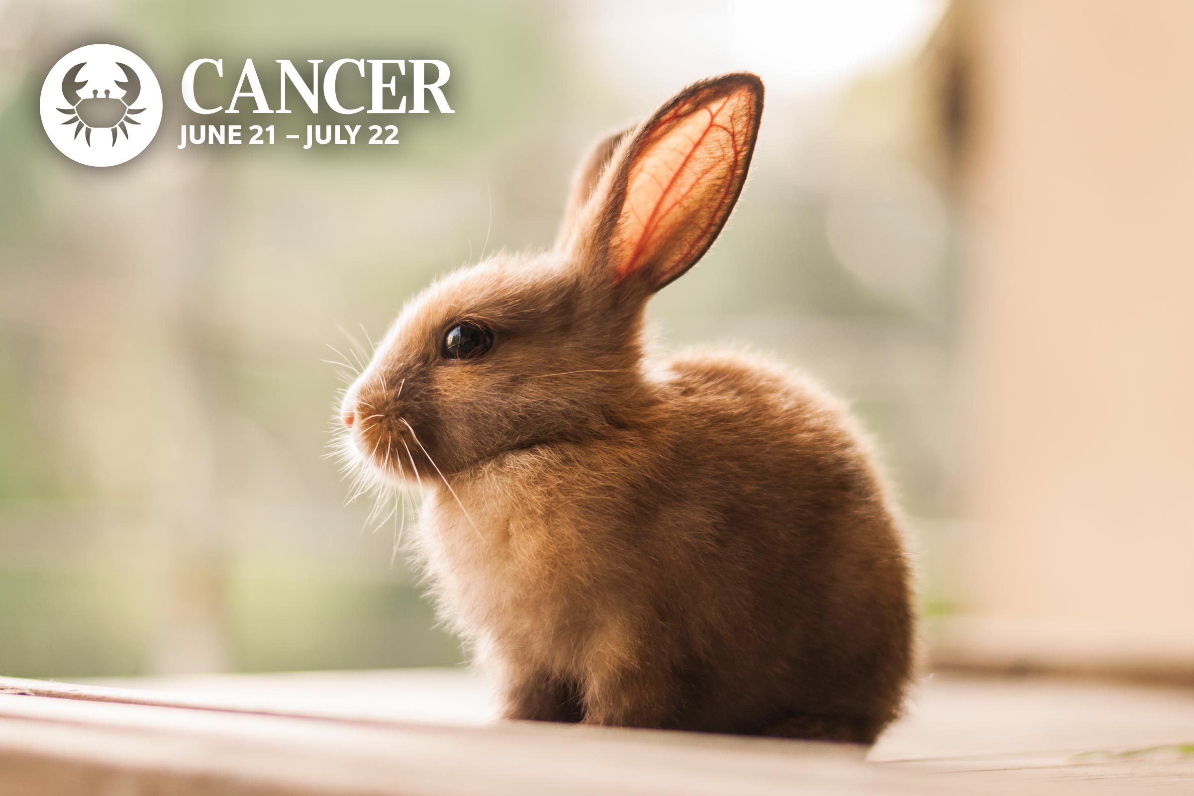 The Best Pet for You, Based on Your Zodiac Reader's Digest