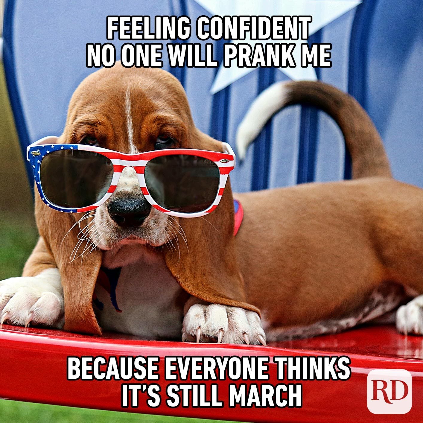 20 Best April Fools' Memes of 2021 Reader's Digest