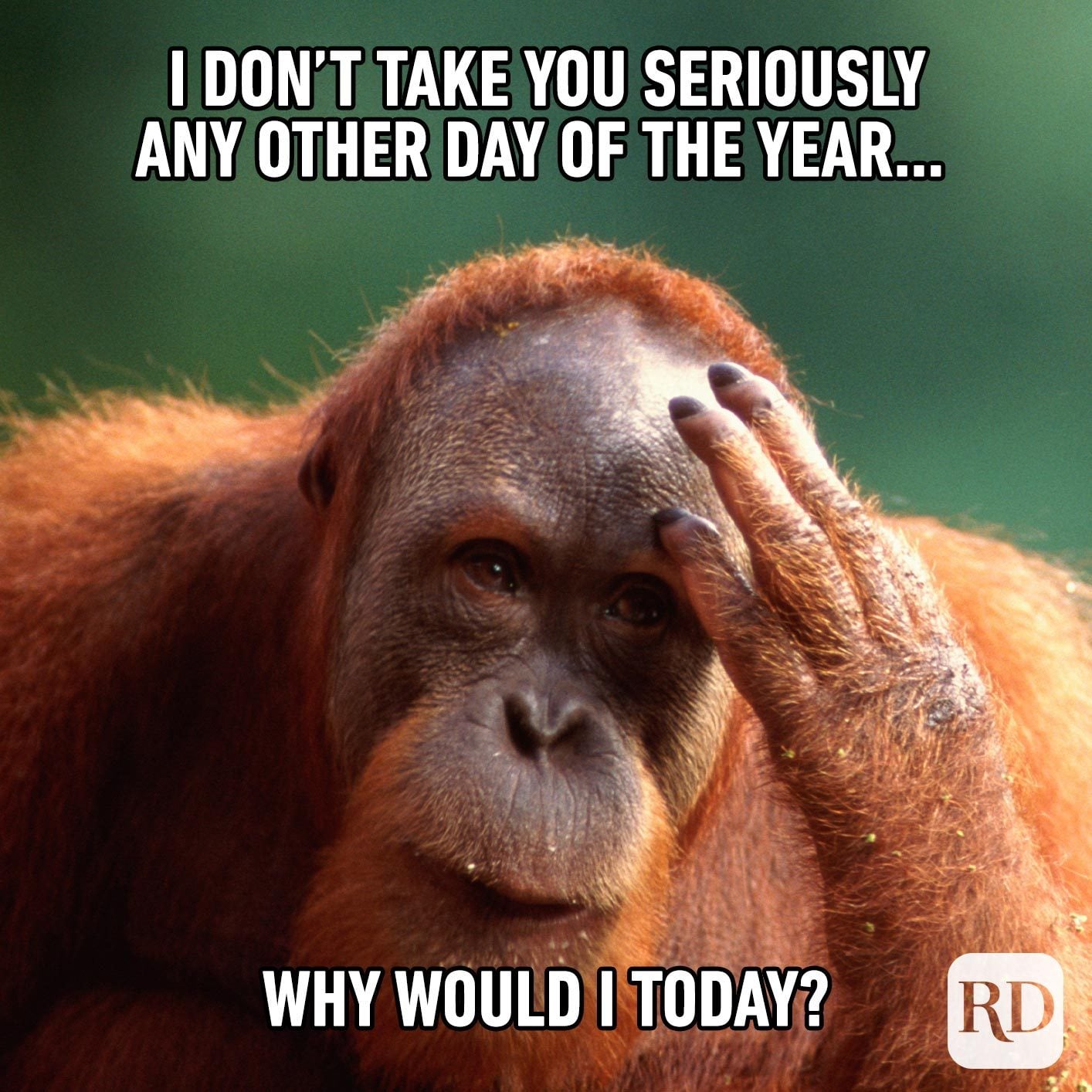 20 Best April Fools' Memes of 2021 Reader's Digest