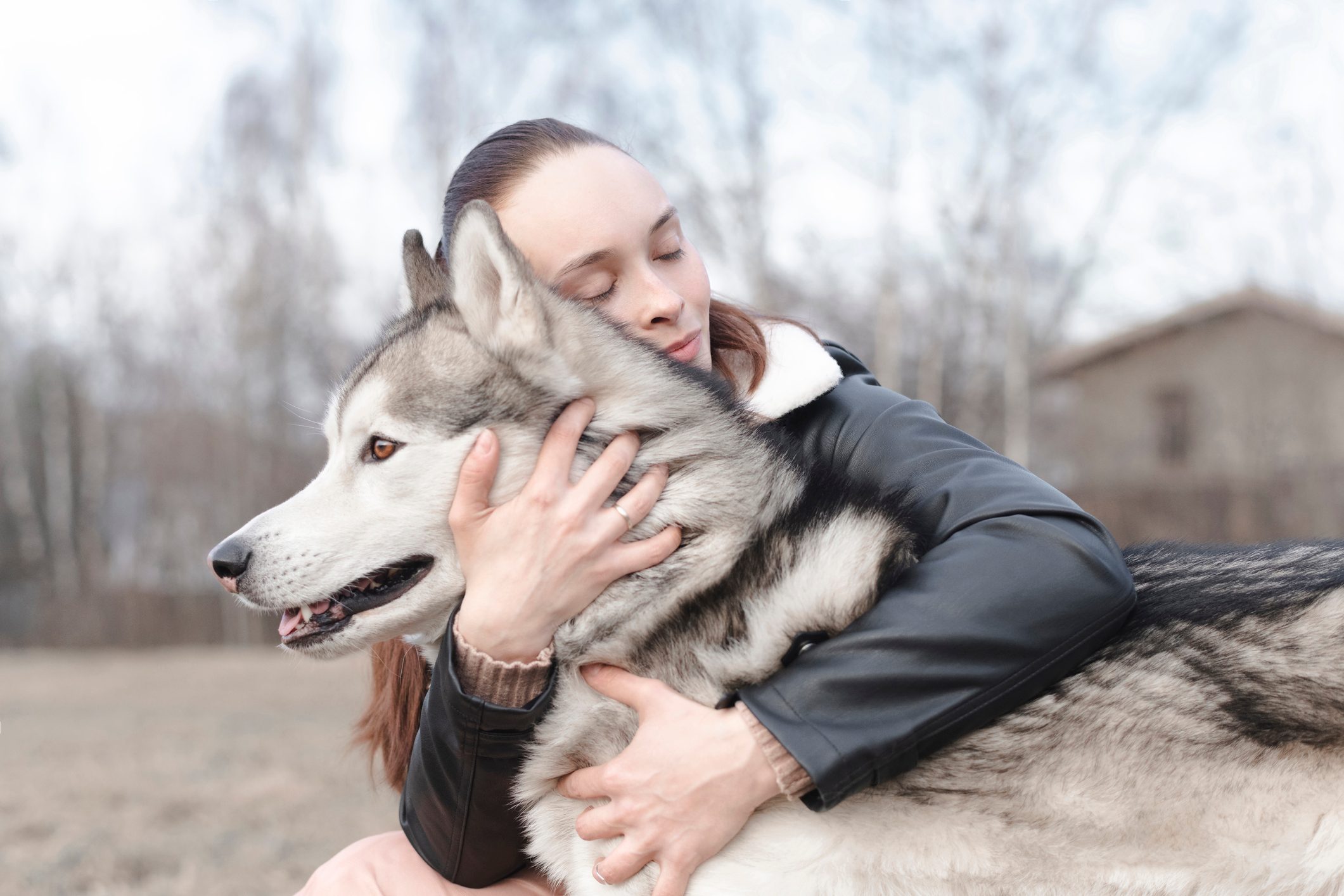 30 Adorable Husky Pictures Reader's Digest