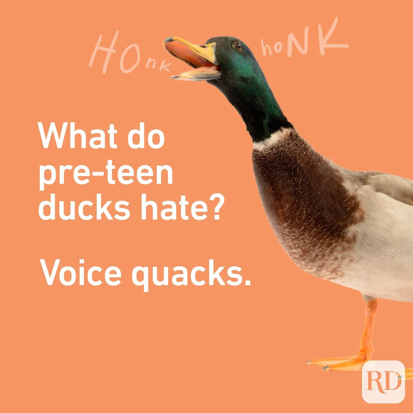 30 Funny Jokes for Teens Reader's Digest