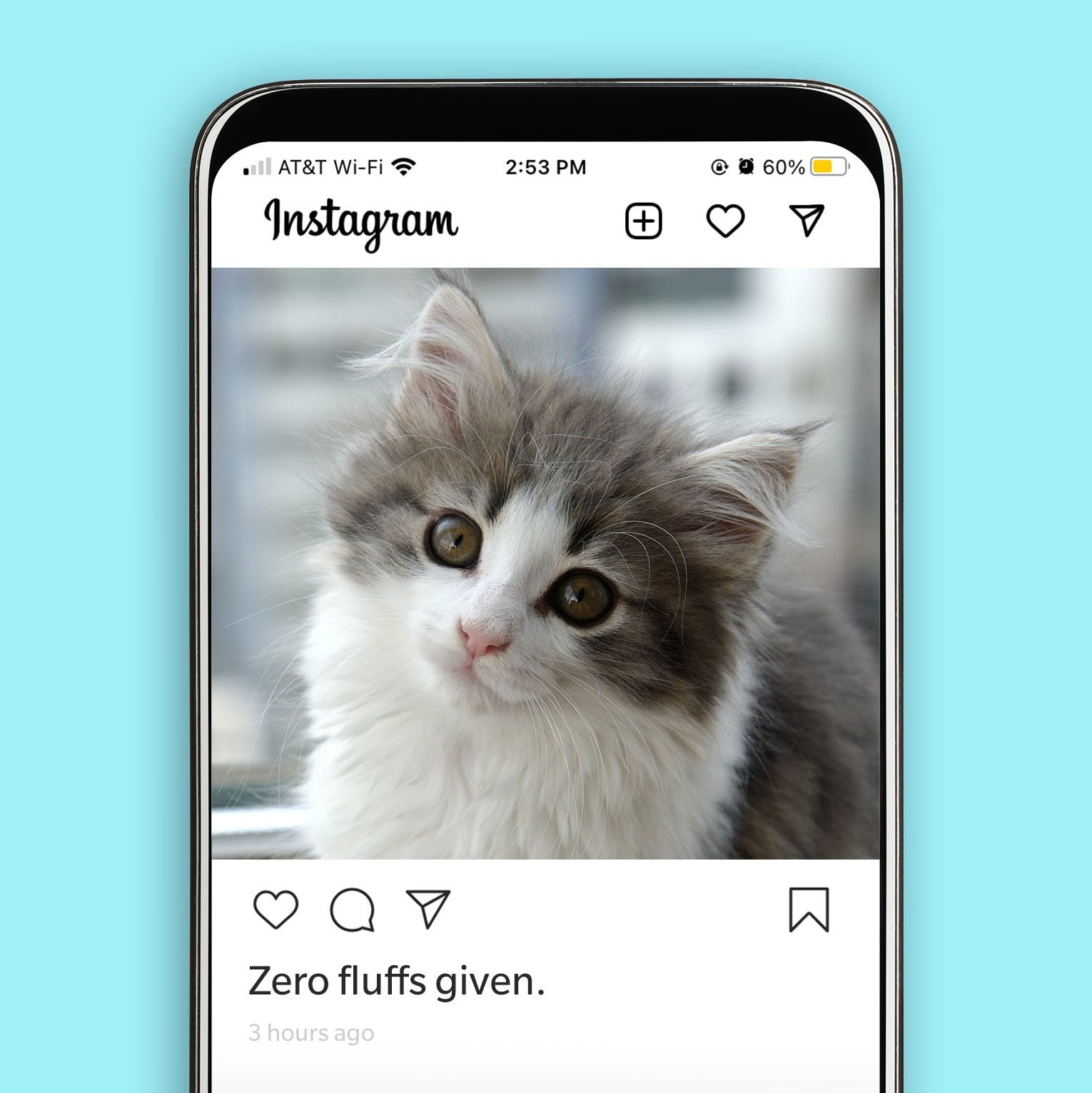 45 Best Cat Instagram Captions for a Purrfect Post Reader's Digest