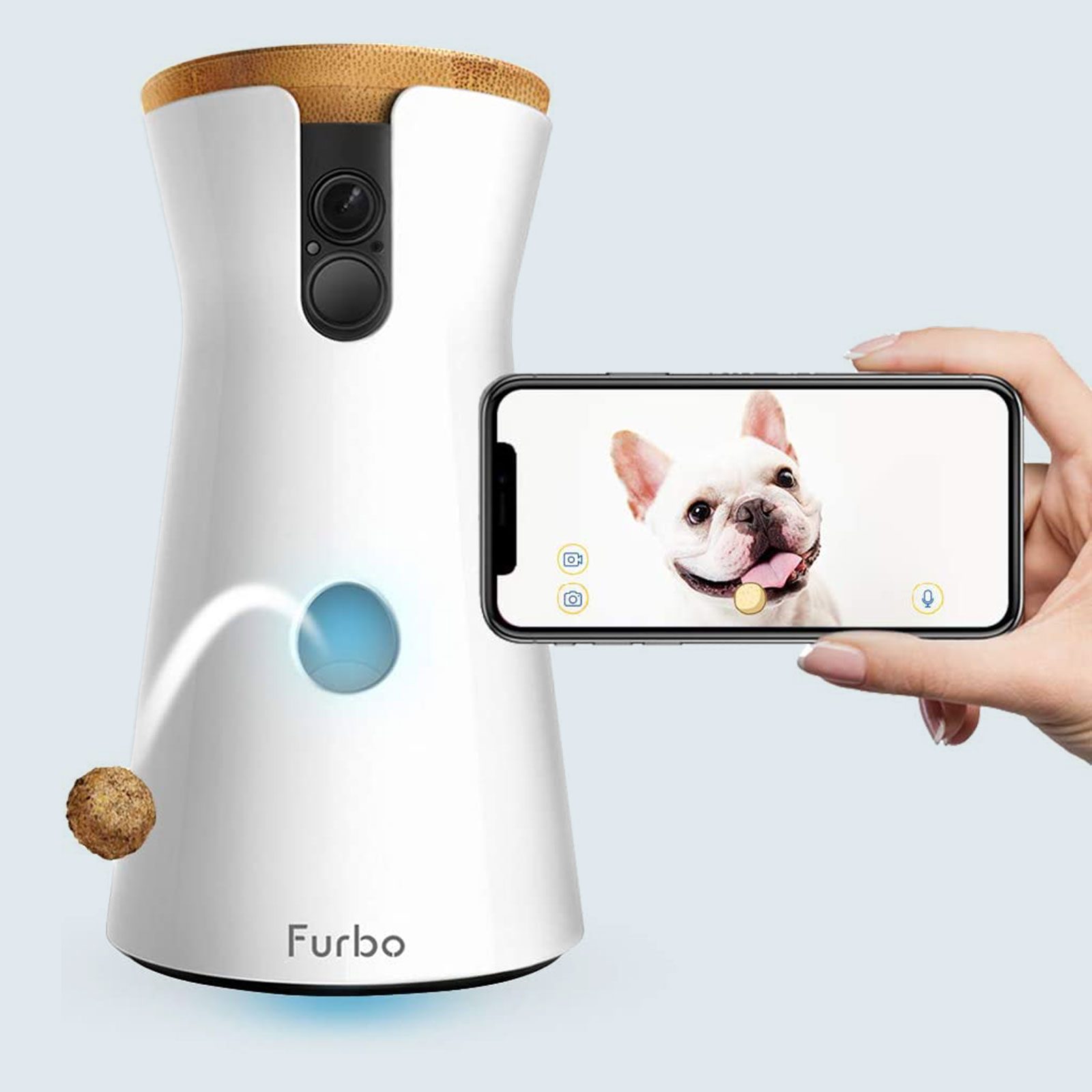 6 Best Pet Cameras for 2023 Expert Picks for Pet Cams, Treat