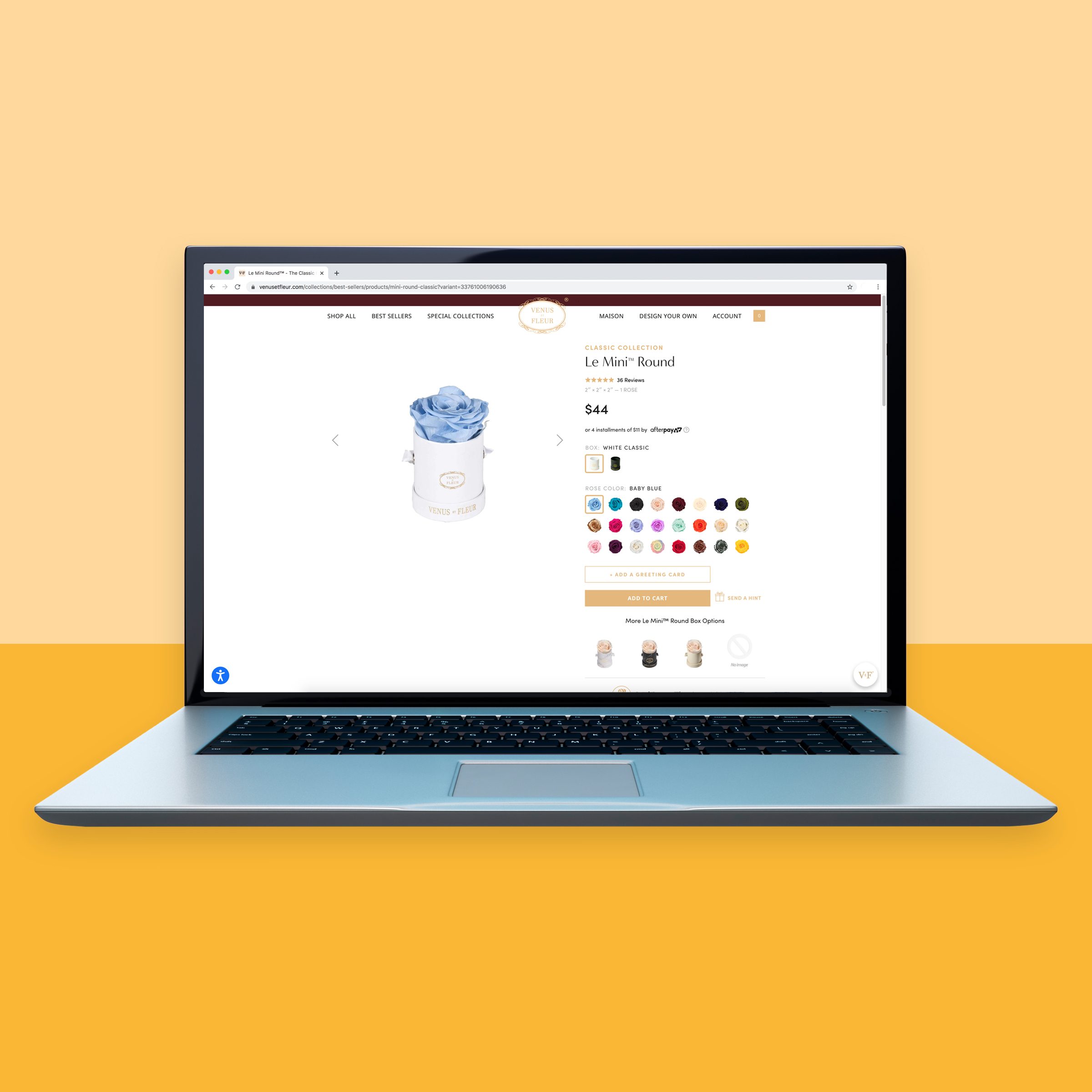 8 Best Online Flower Delivery Services for Special Occasions 2023