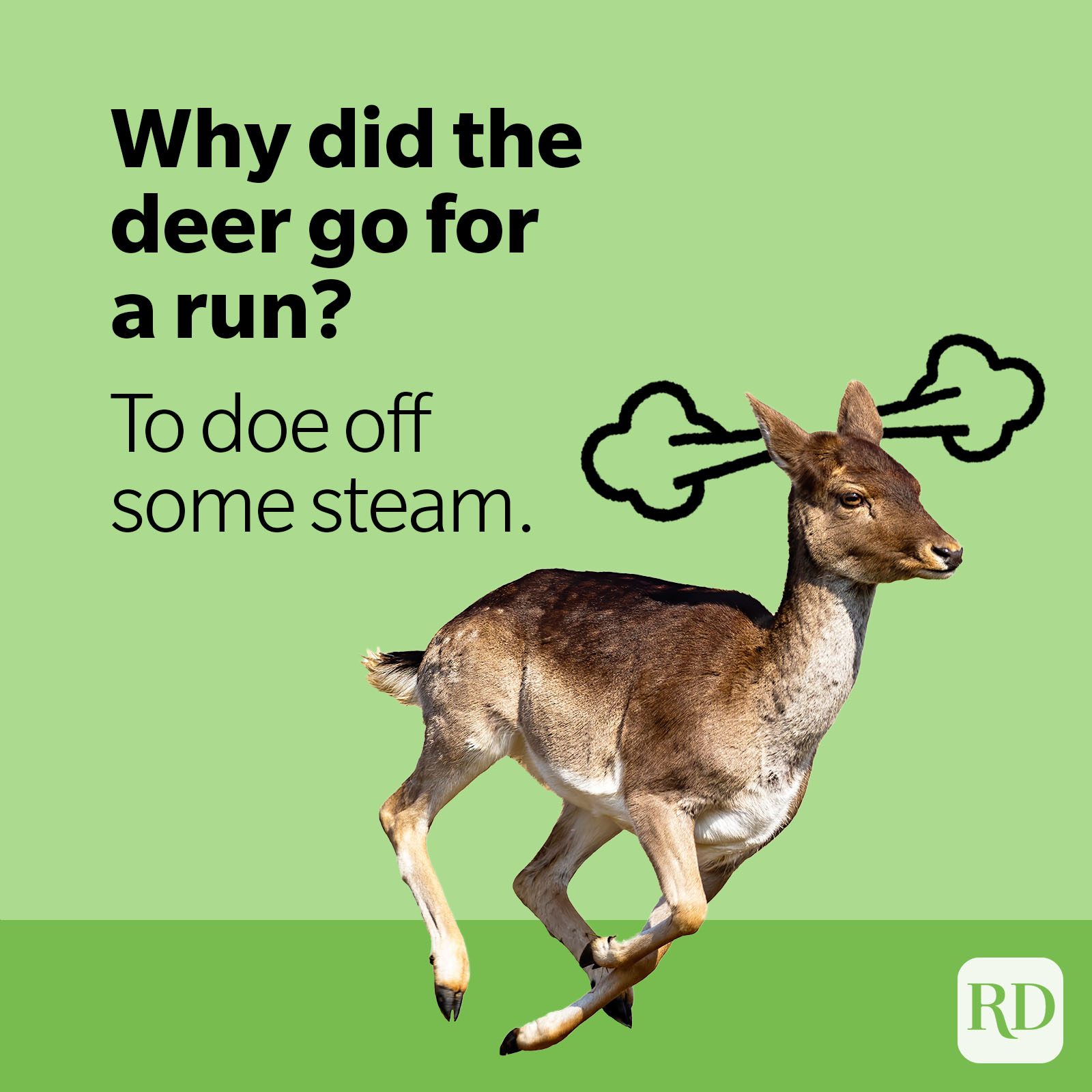 50 Deer Puns That Make the Heart Grow Fawn'der Funny Deer Jokes