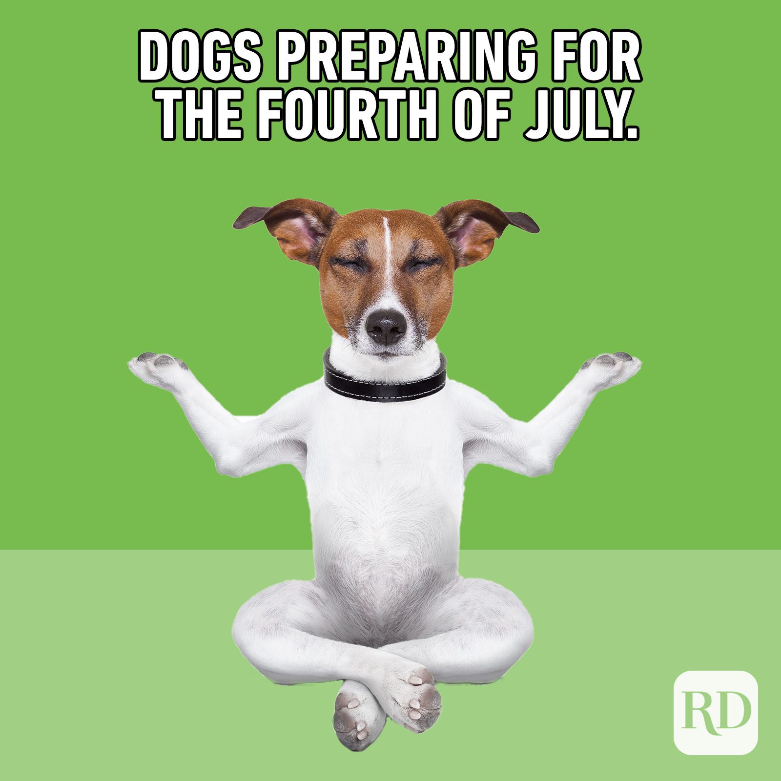 35 Funny 4th of July Memes Worth Sharing Reader's Digest