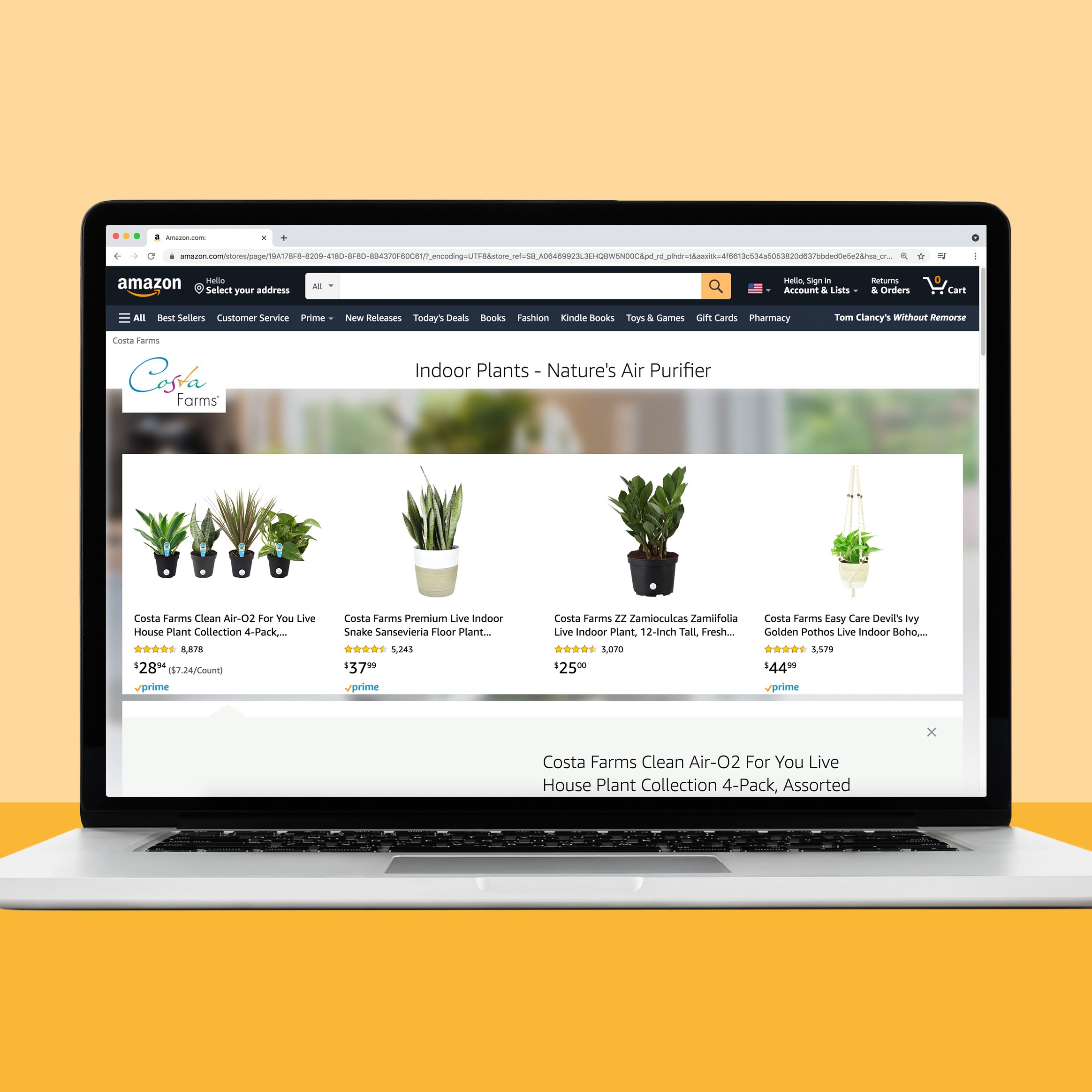 18 Best Places to Buy Plants Online 2022 Where to Buy Plants Online