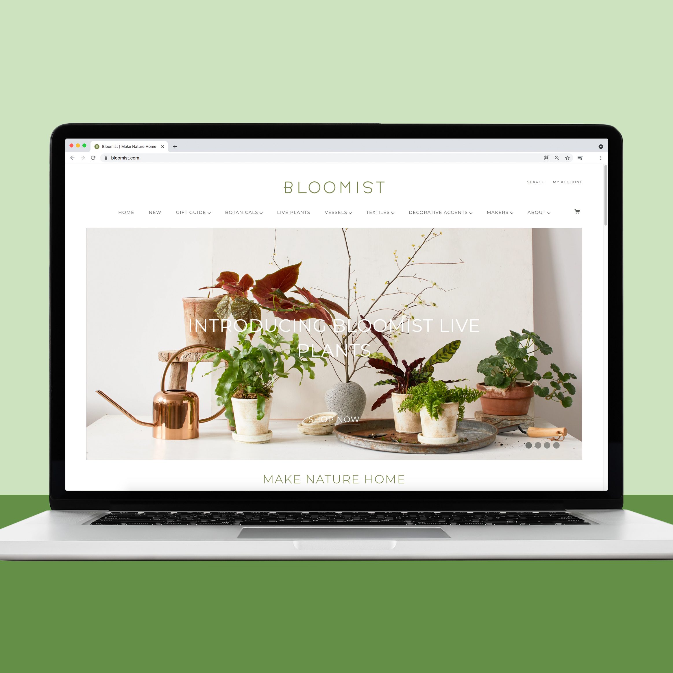 18 Best Places to Buy Plants Online 2024 Where to Buy Plants Online