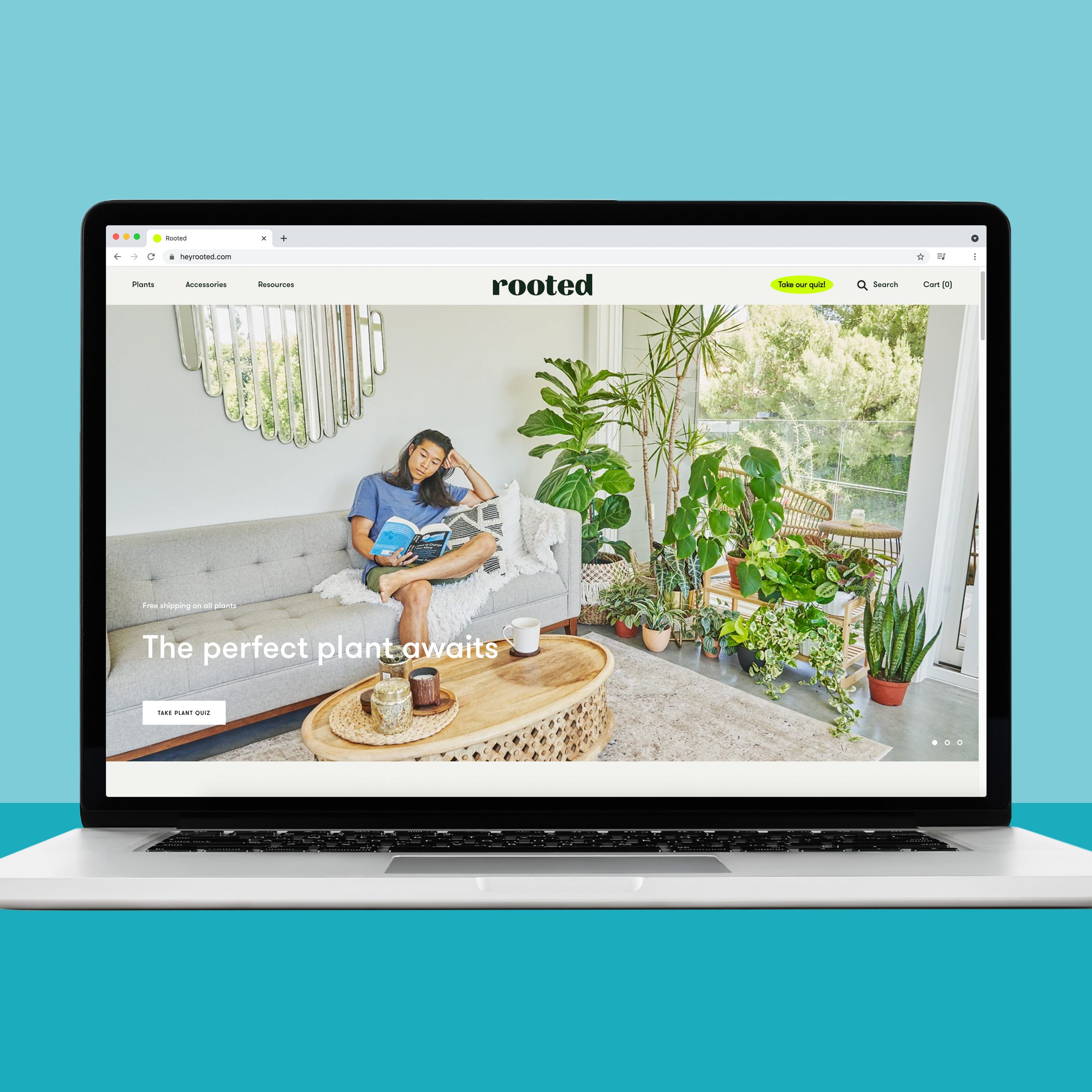 18 Best Places to Buy Plants Online 2024 Where to Buy Plants Online