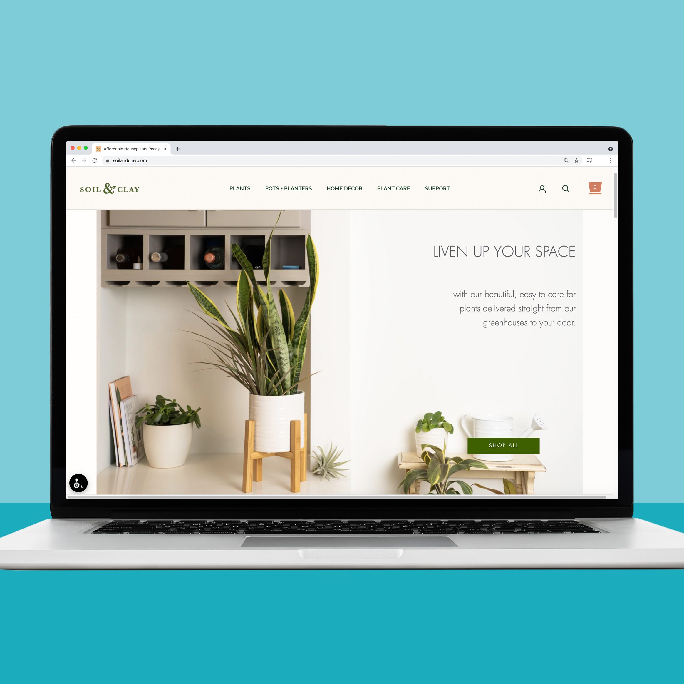 18 Best Places to Buy Plants Online 2022 Where to Buy Plants Online