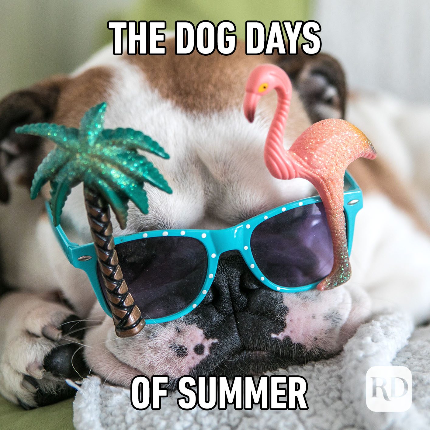 35 Best Summer Memes to Share for Summer 2022 Reader's Digest
