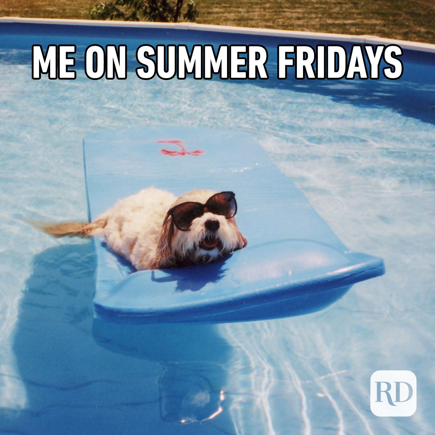 Understanding The SummerTime Meme: Origins, Impact, And Why It Resonates