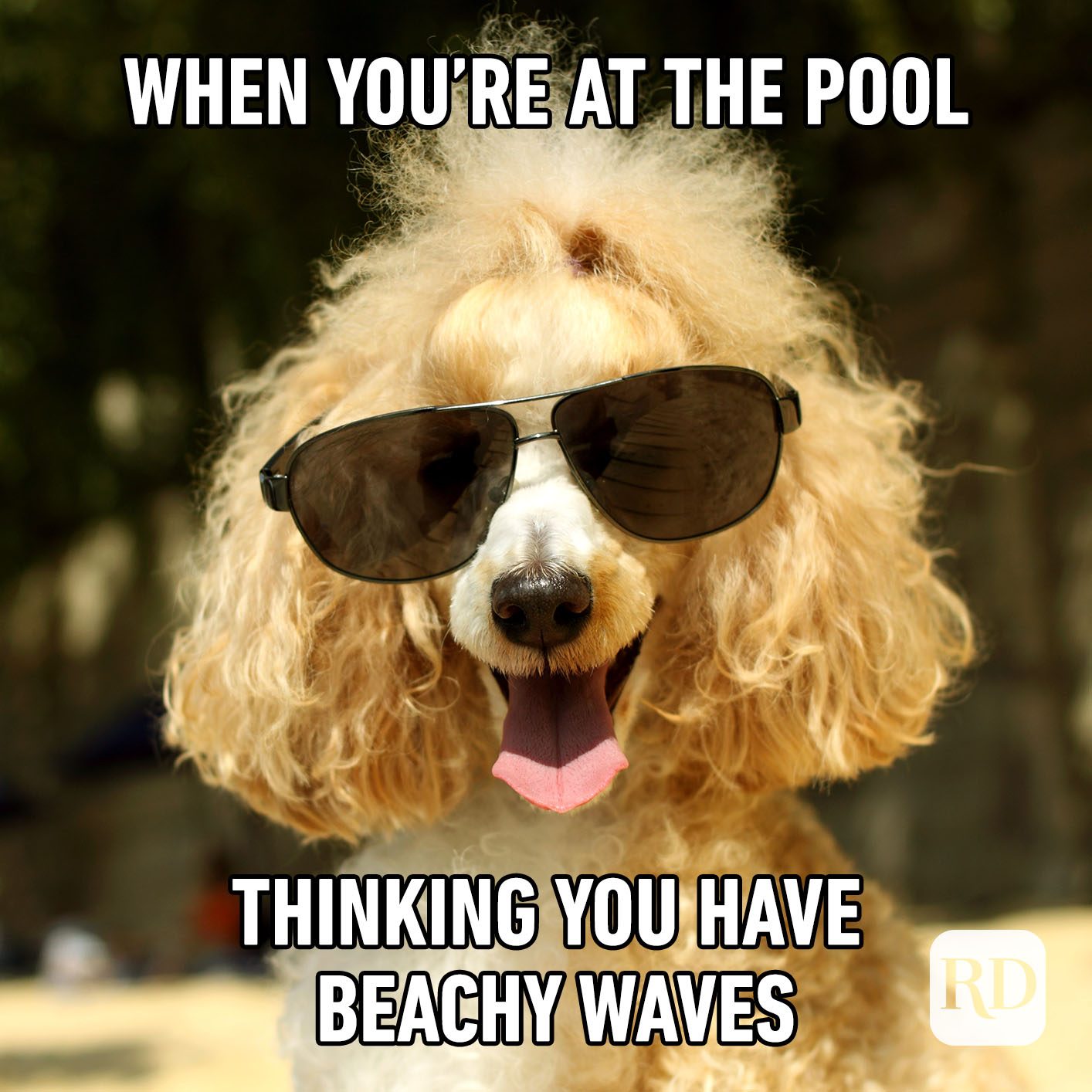 35 Best Summer Memes to Share for Summer 2022 Reader's Digest
