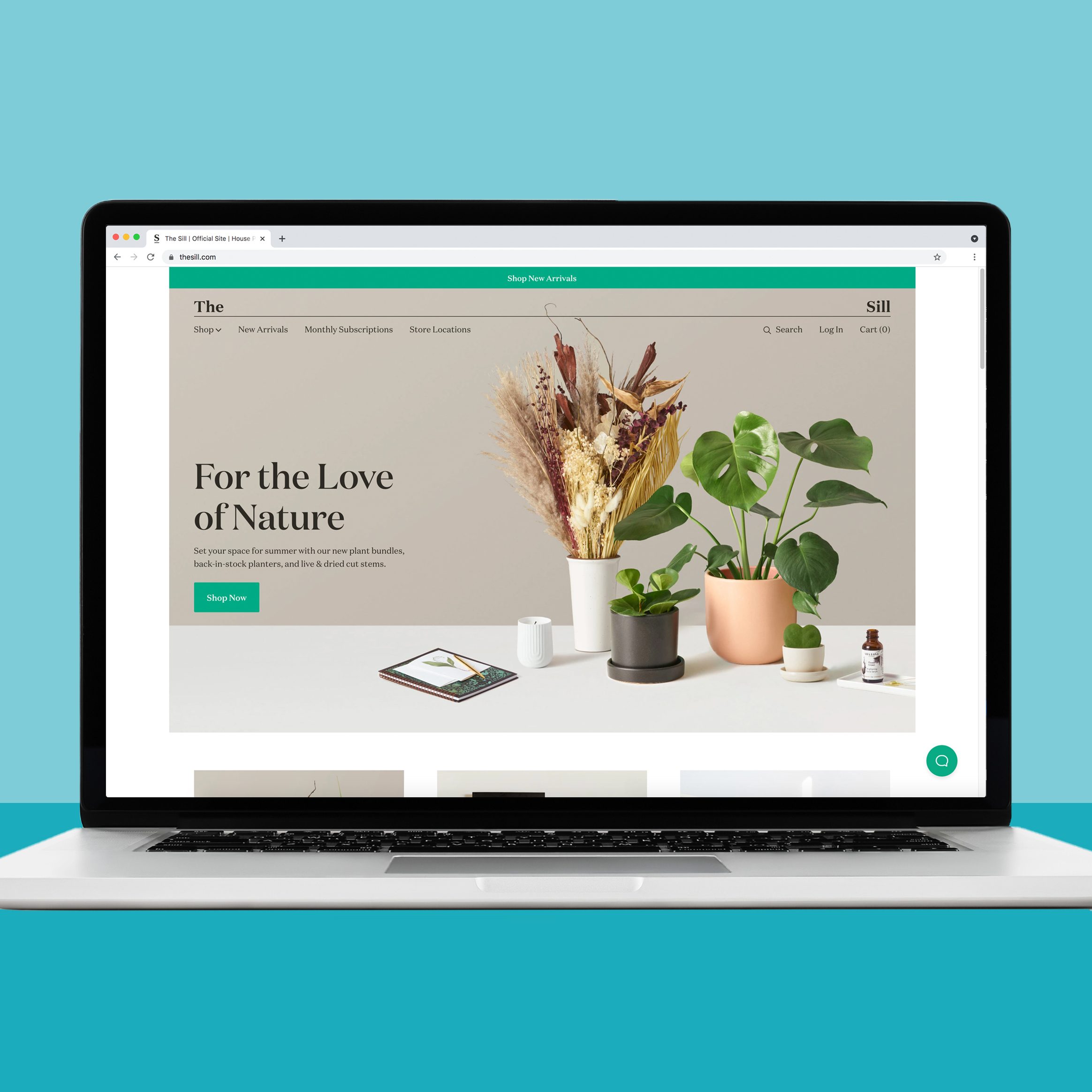 18 Best Places to Buy Plants Online 2024 Where to Buy Plants Online