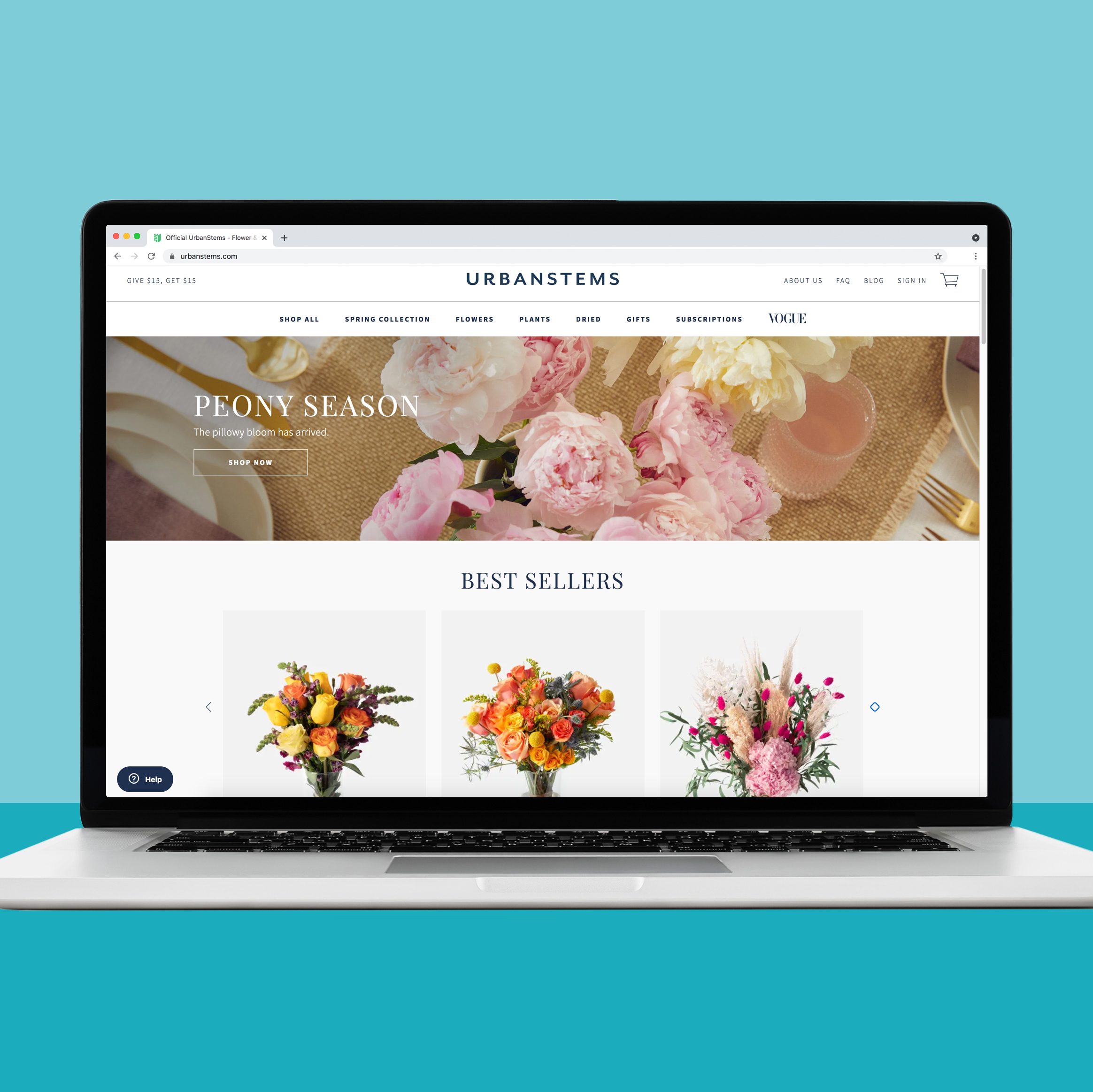 18 Best Places to Buy Plants Online 2022 Where to Buy Plants Online