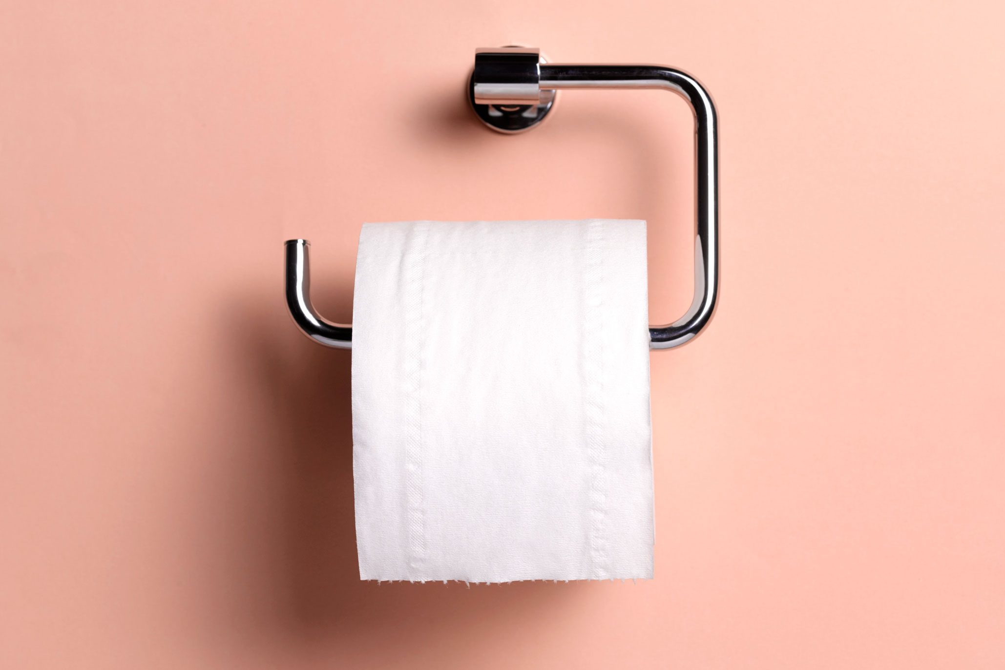 Can Dogs Eat Toilet Paper Rolls