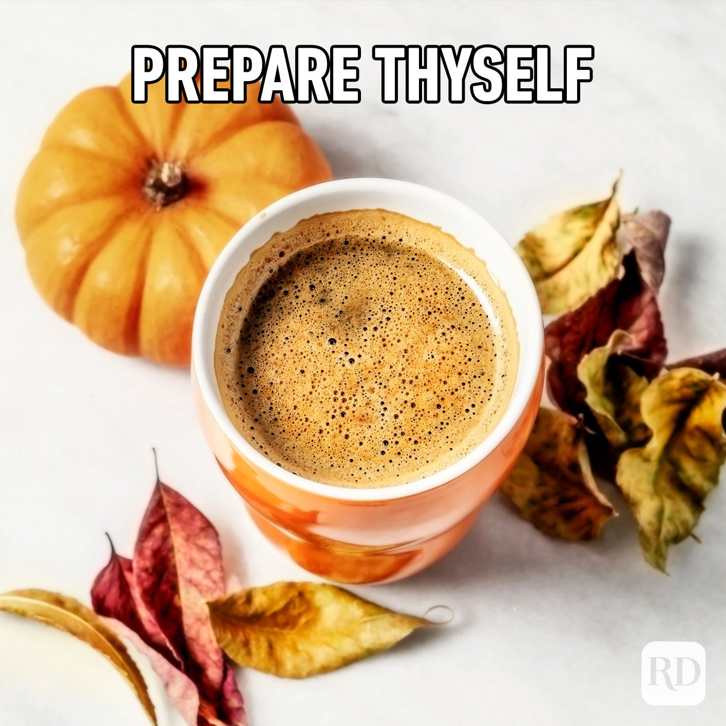 28 Fall Memes All Autumn Lovers Relate To in 2022 Reader's Digest