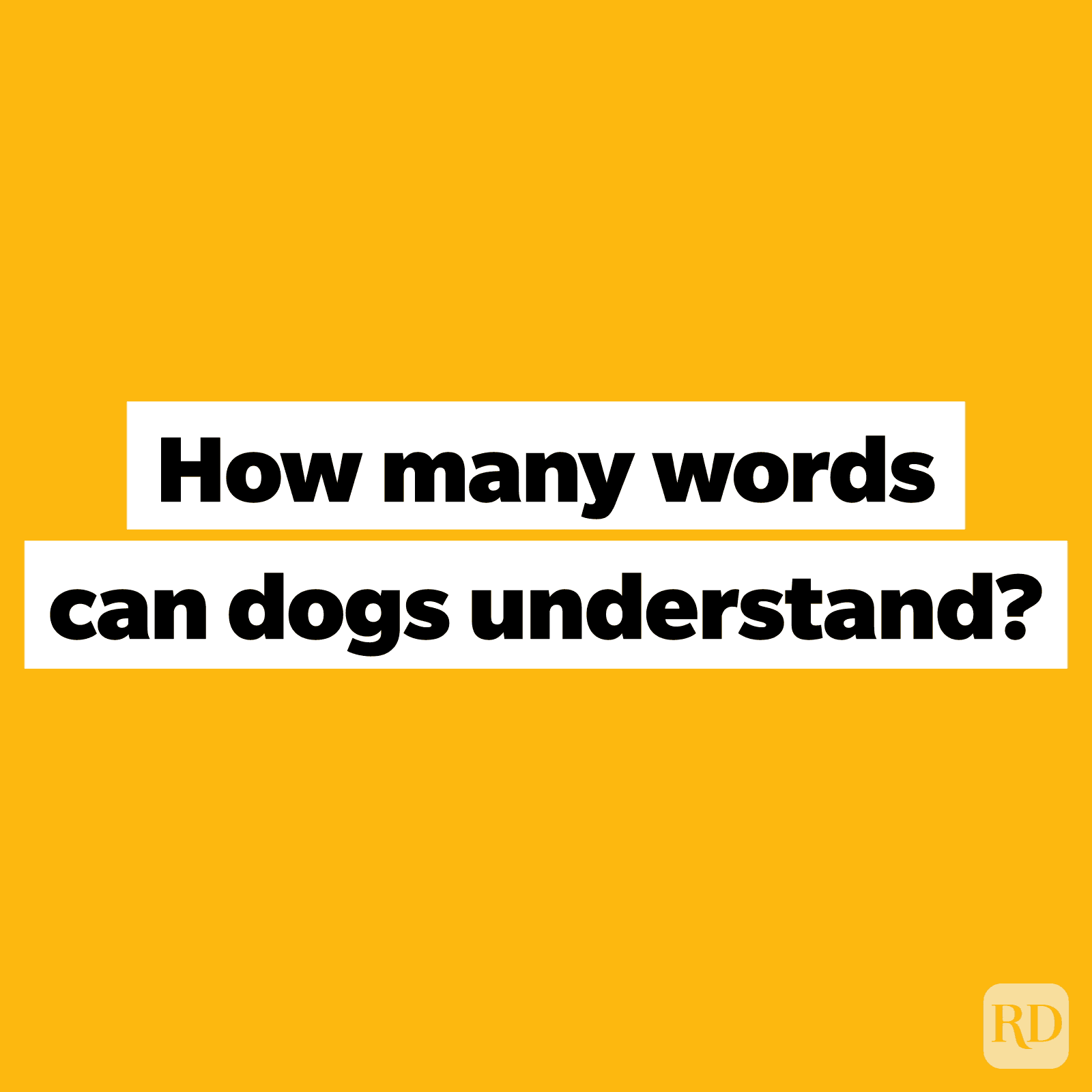 110 Tricky Trivia Questions How Many Can You Get Right?