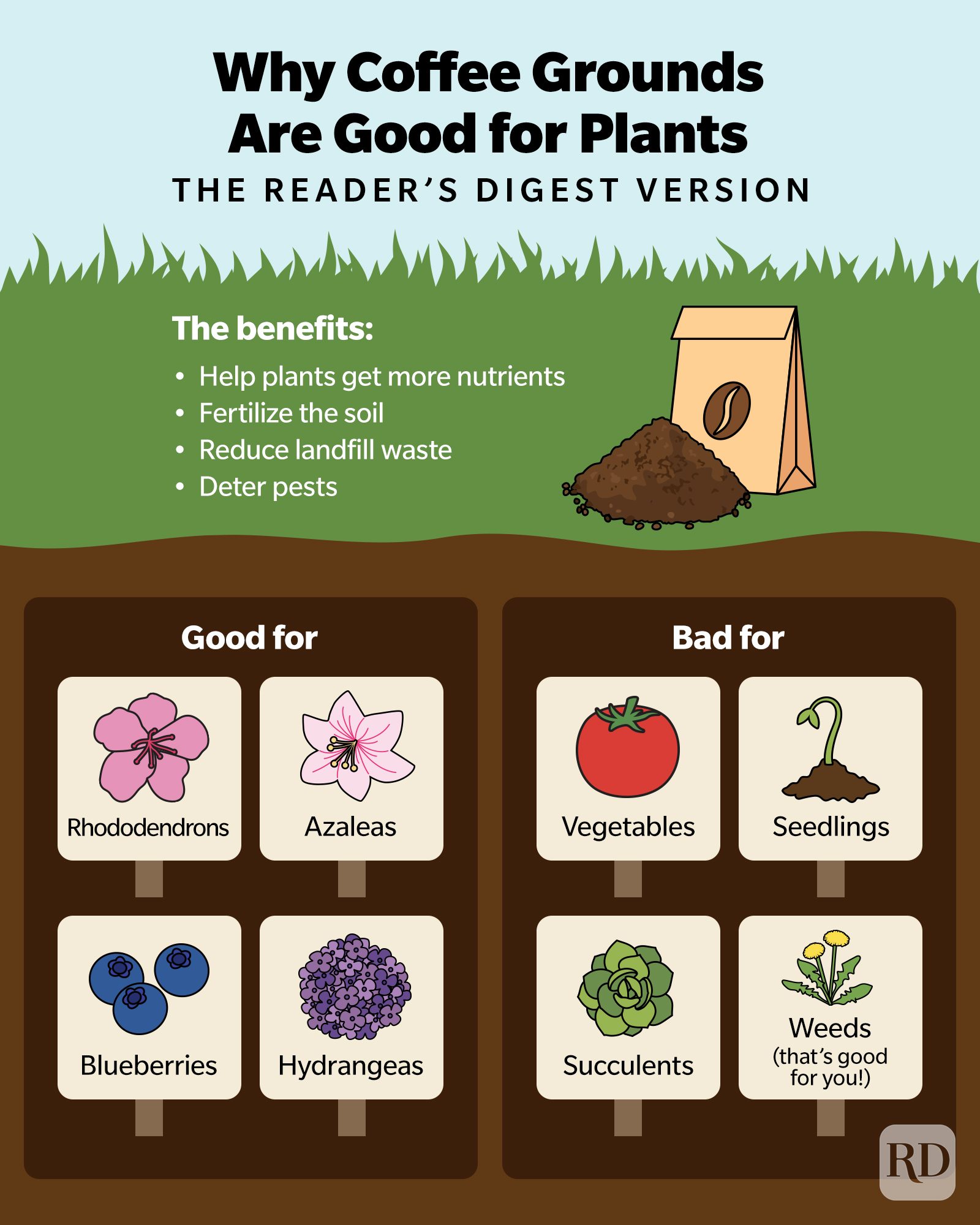 Coffee Grounds for Plants Are Coffee Grounds Good for Plants?