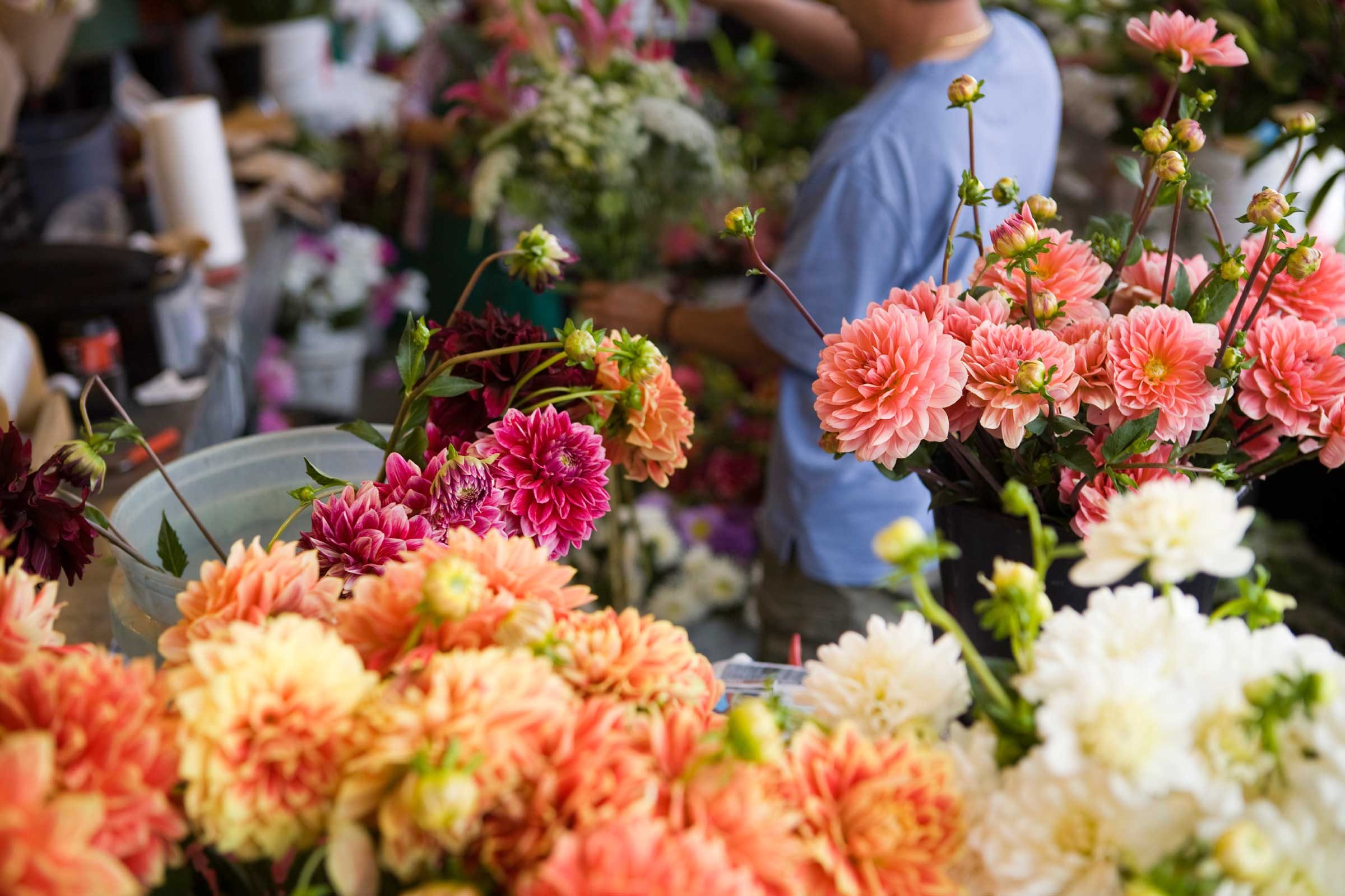 13 Things Your Florist Won't Tell You Reader's Digest