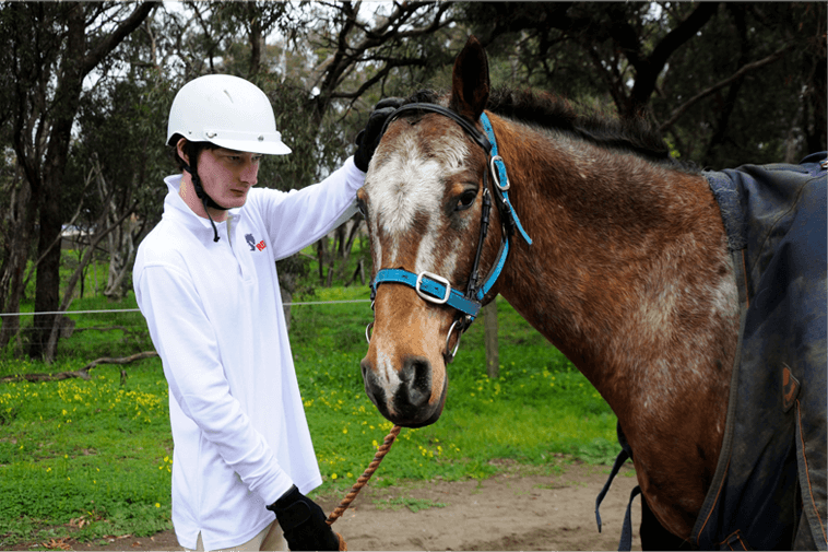 Home Riding for the Disabled Association of Australia