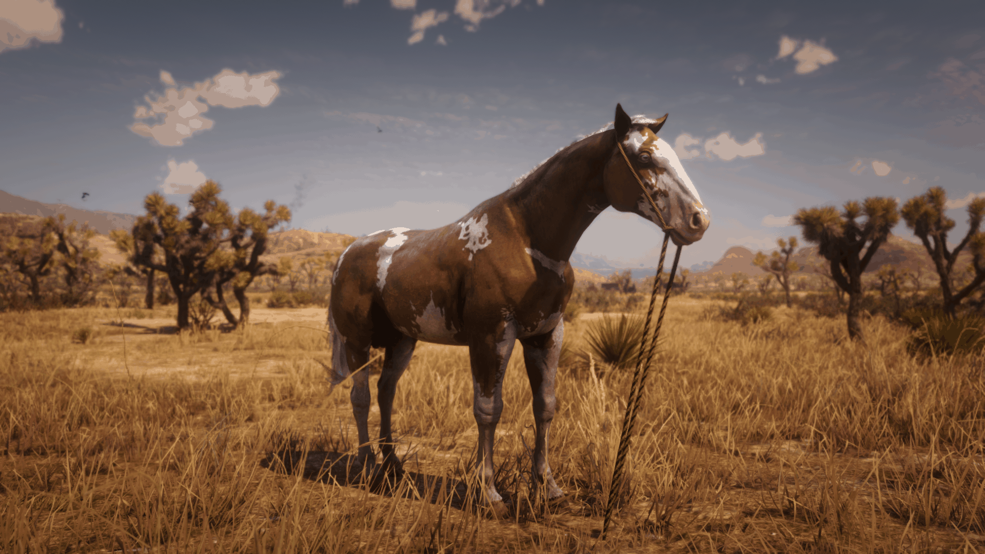 Red Dead Redemption 2 Wild Horse Breeds Locations Guide