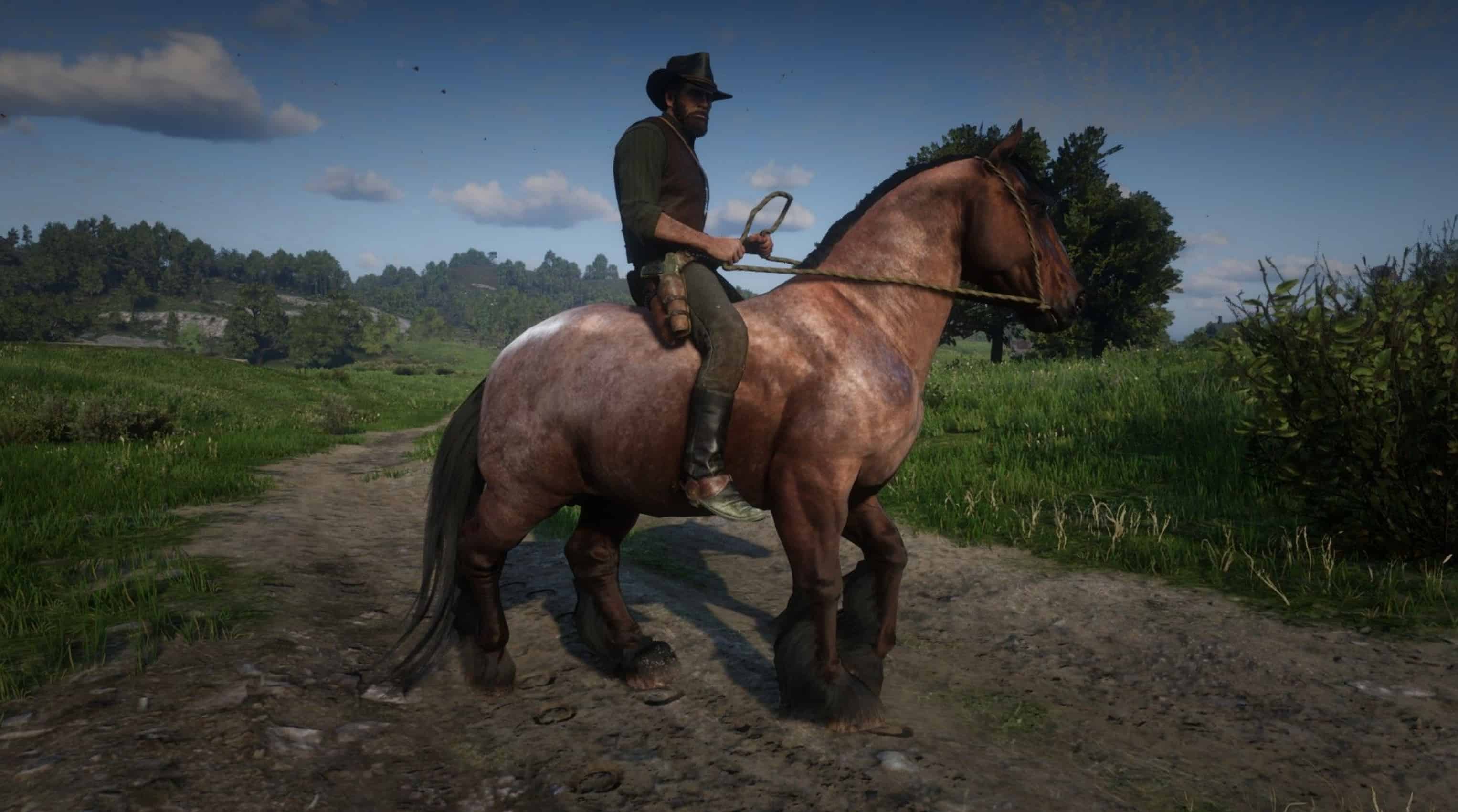 Ardennes Red Dead Redemption 2 Mod