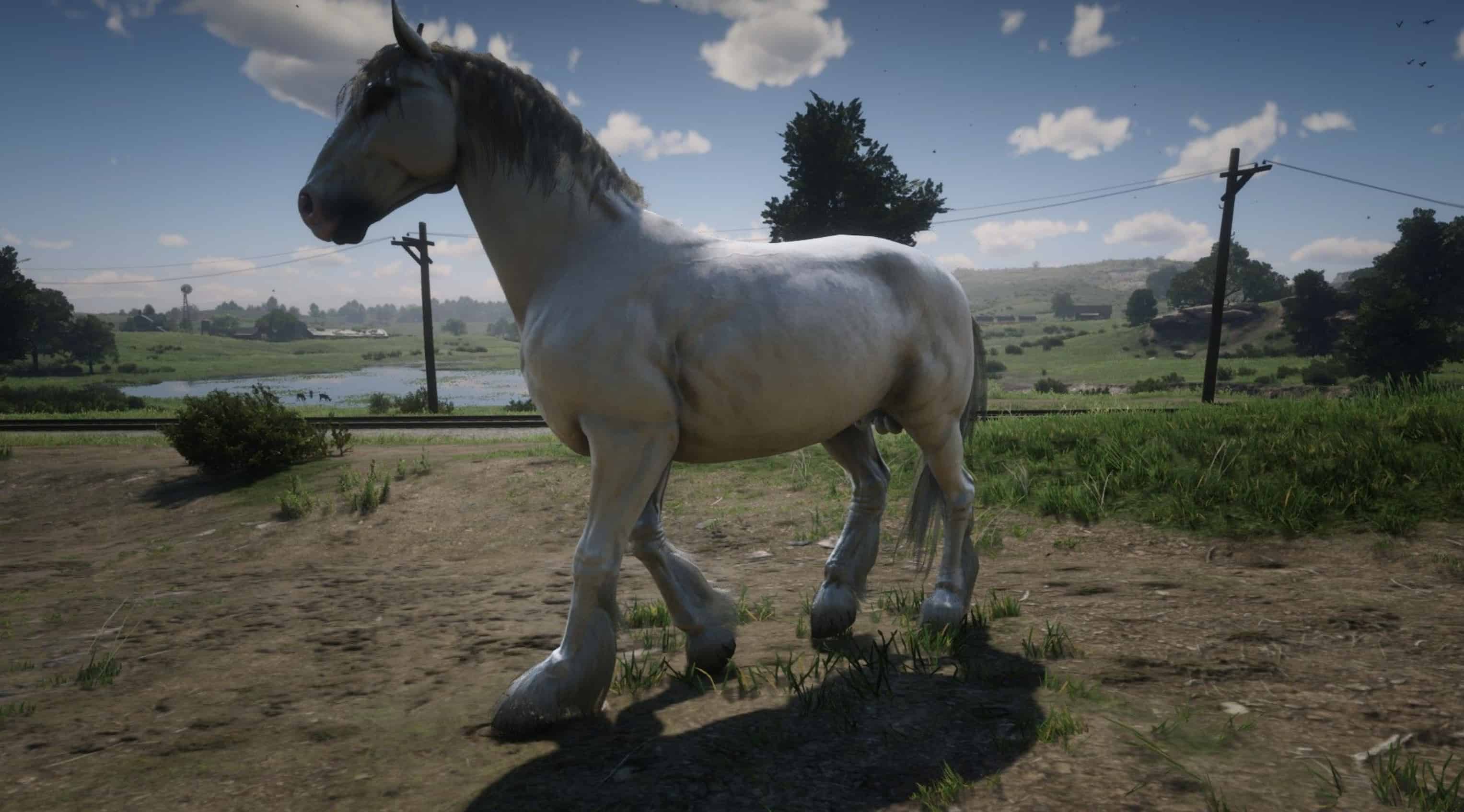 Shire Red Dead Redemption 2 Mod