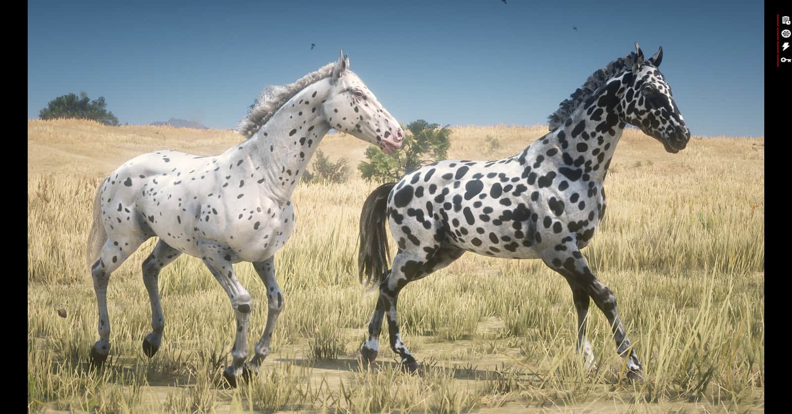 Realistic Leopard Appaloosas Red Dead Redemption 2 Mod