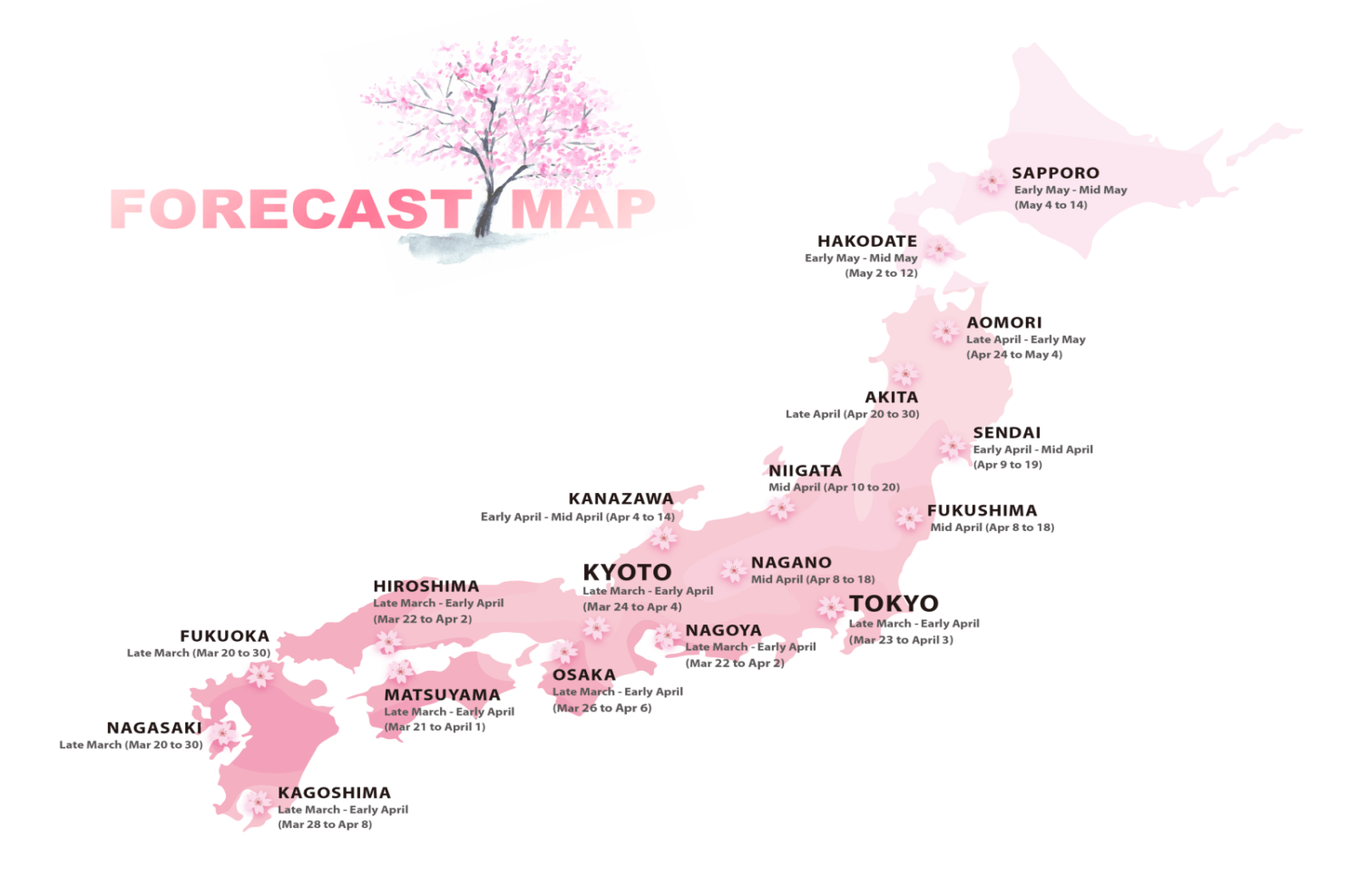 Cherry Blossoms Festival (Japan Forecasts 2019) Where and When to Visit