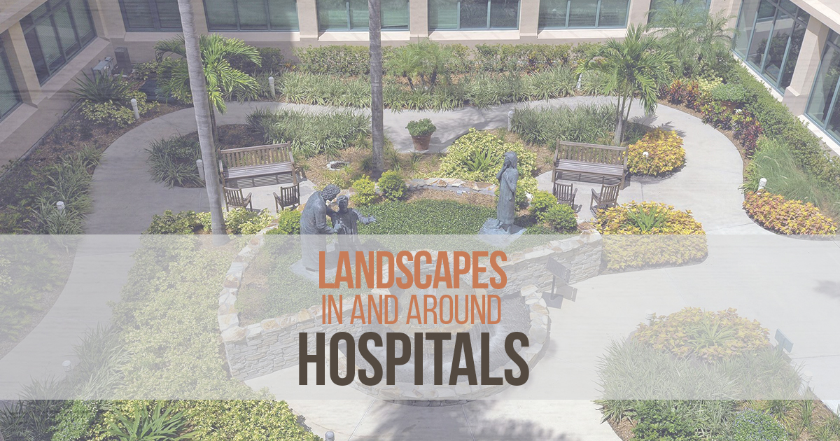 Landscape In and Around Hospitals RTF Rethinking The Future