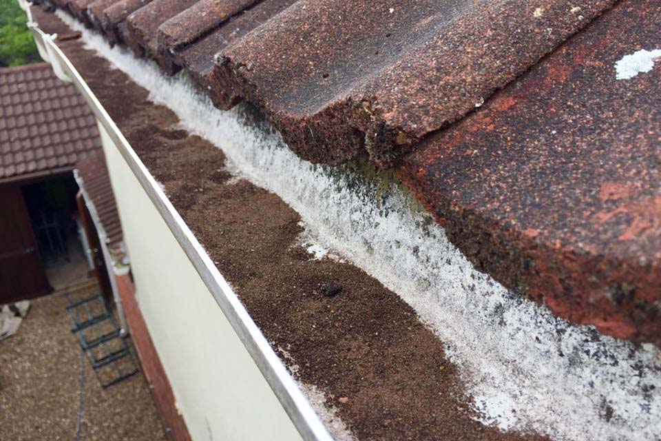 Gutter Cleaners In Leicester & Across Leicestershire AB Window Cleaning